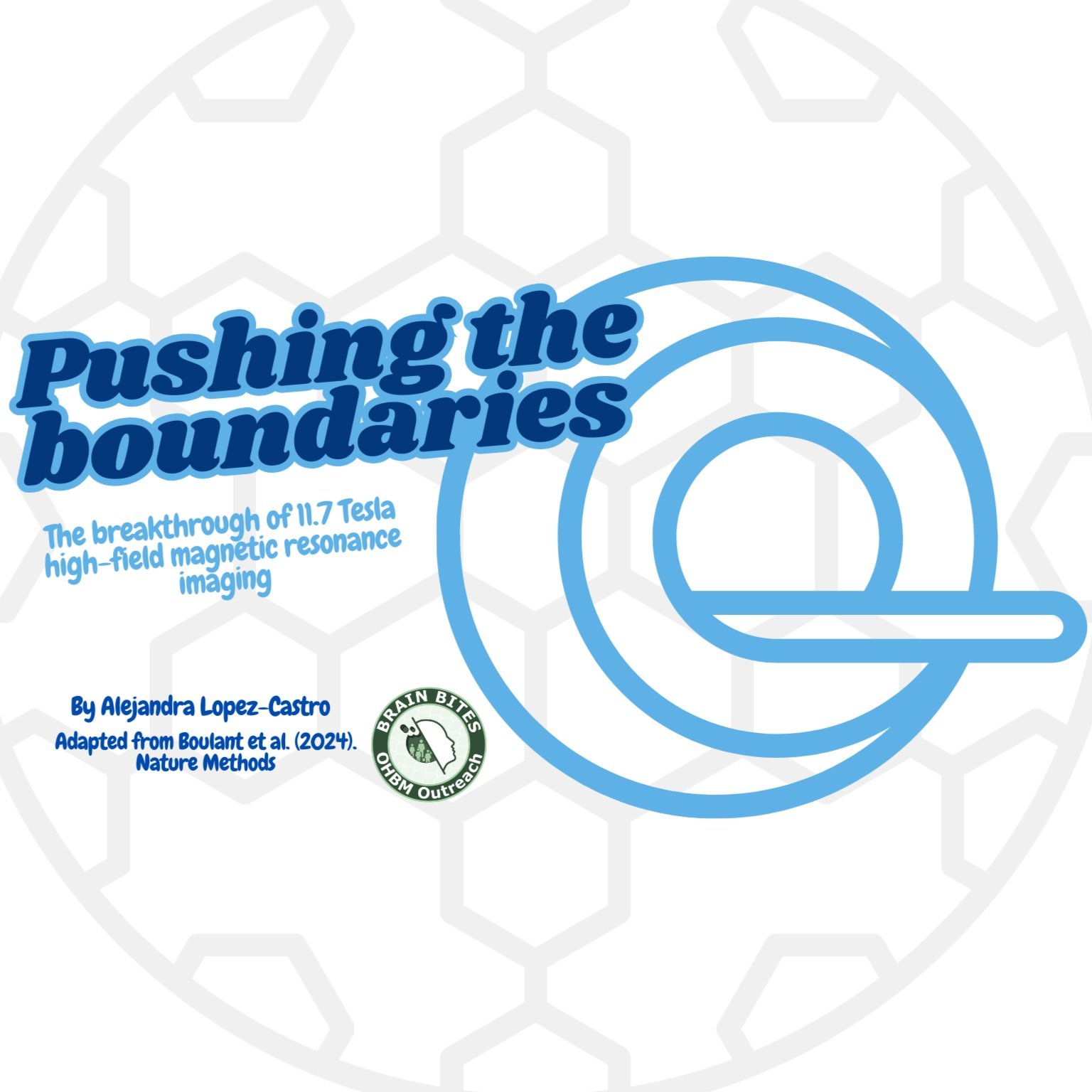Pushing the boundaries: the breakthrough of 11.7 Tesla high-field magnetic resonance imaging
