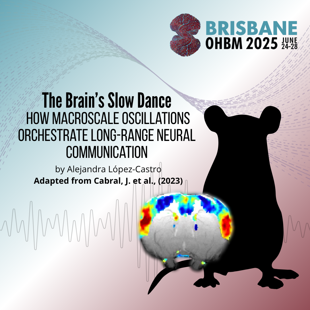 Keynote series Dr. Joana Cabral - The Brain’s Slow Dance: How Macroscale Oscillations Orchestrate Long-Range Neural Communication