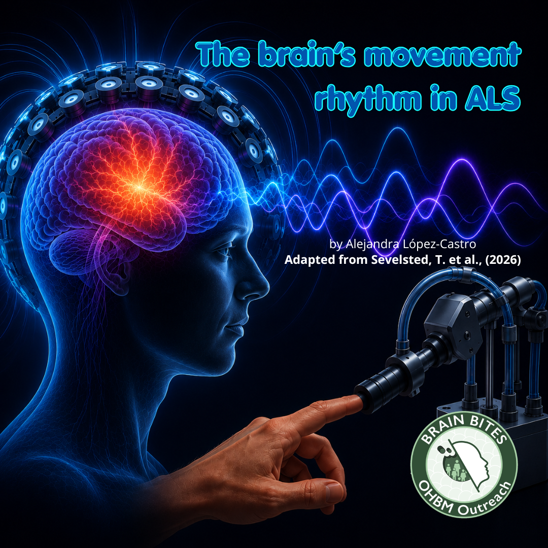 The brain’s movement rhythm in ALS