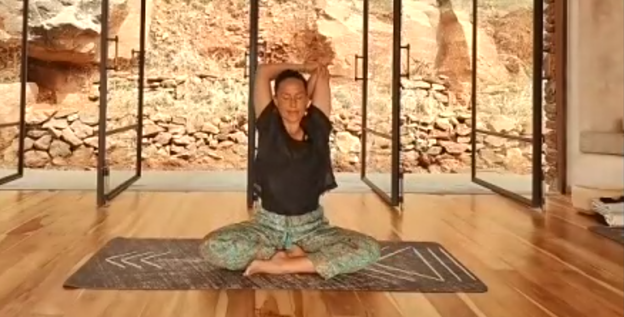 Healing Immunity Vitality