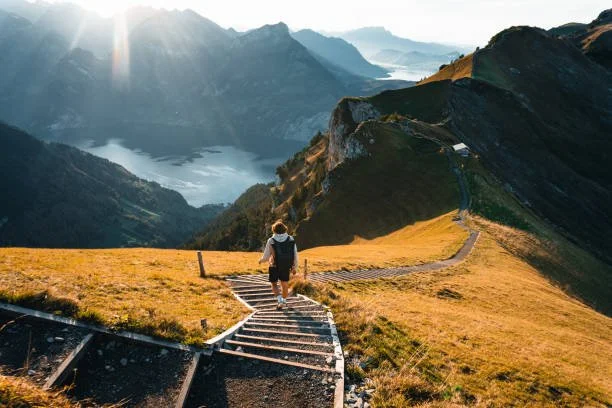 Why You Feel Like You Have No Purpose: A Guide for Complex Trauma Recovery