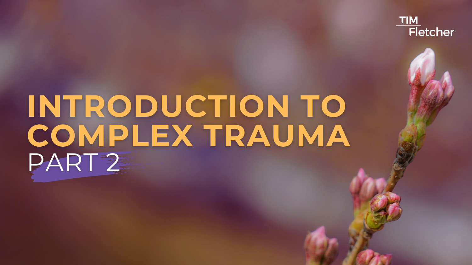 Introduction to Complex Trauma - Part 2