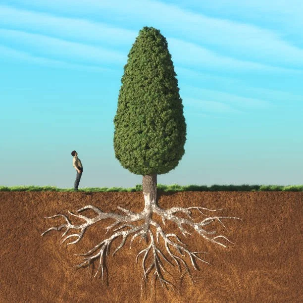 The Invisible Roots of Complex Trauma Recovery: Why Healing Must Begin Below the Surface