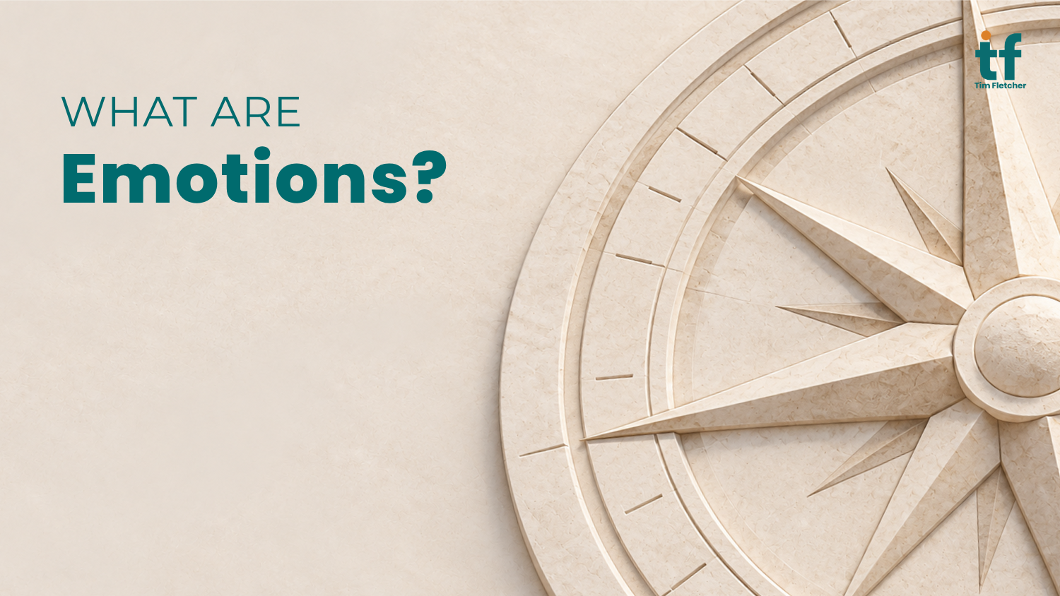 What Are Emotions?