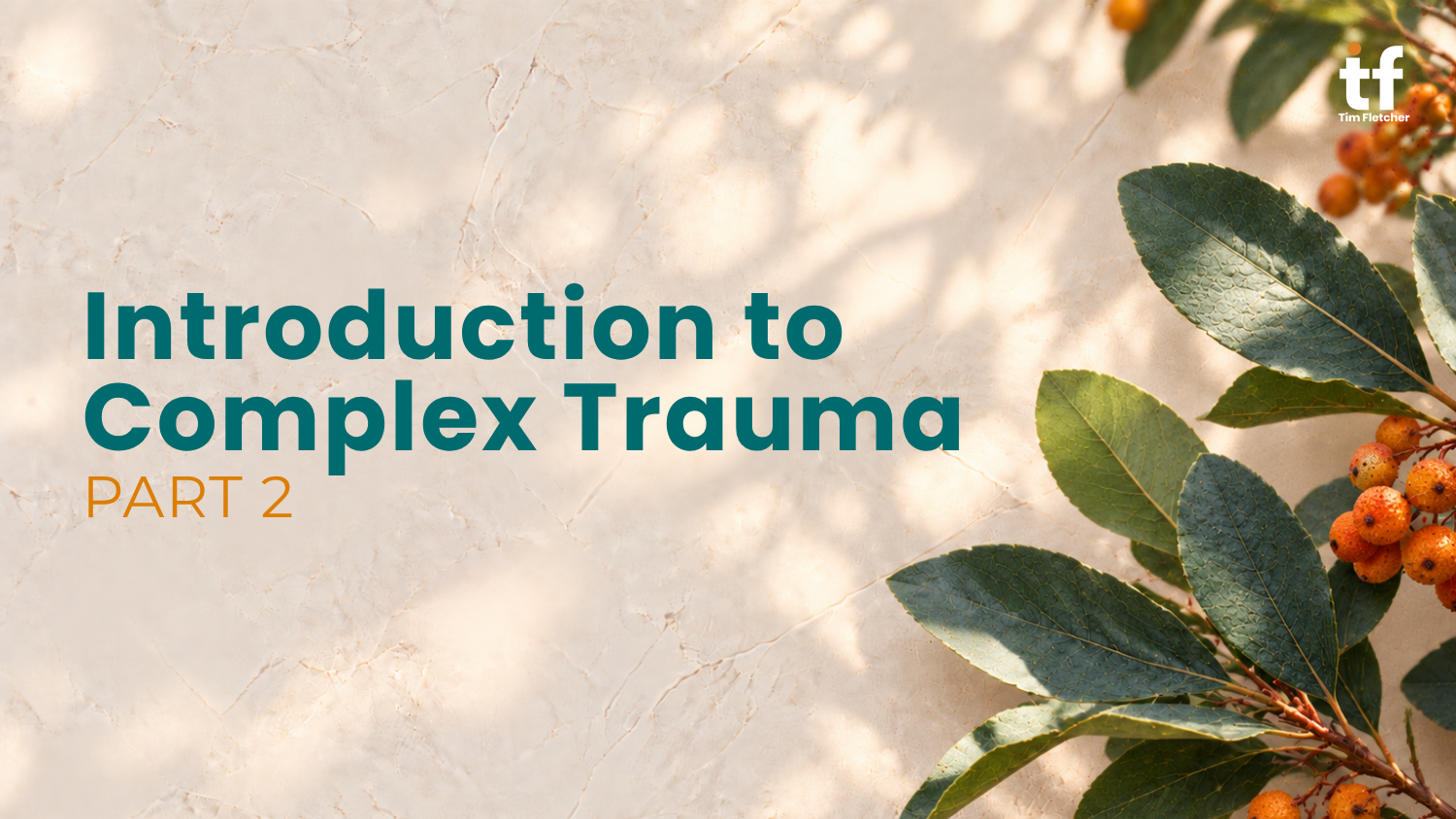 Introduction to Complex Trauma - Part 2