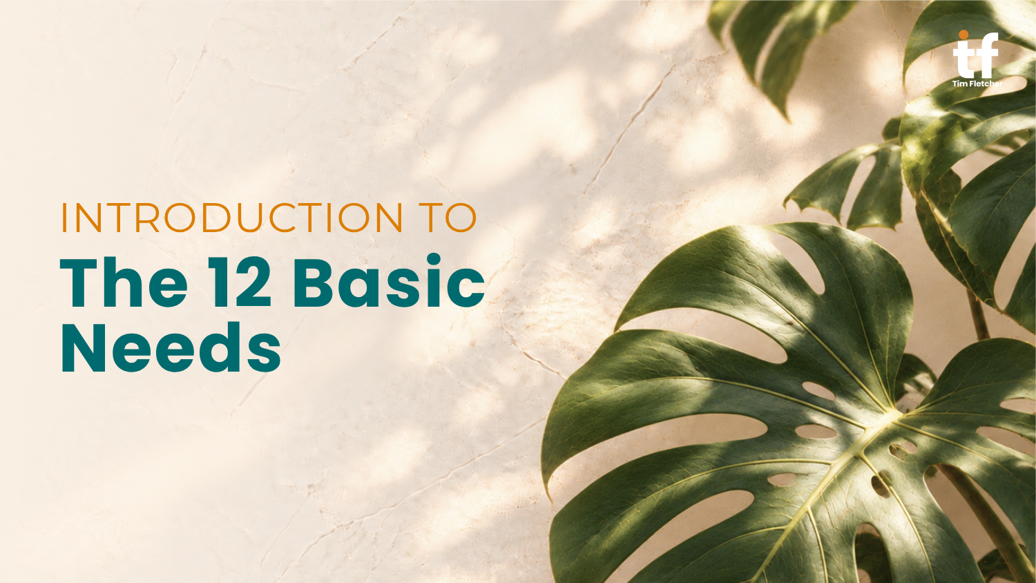 Introduction to the 12 Basic Needs