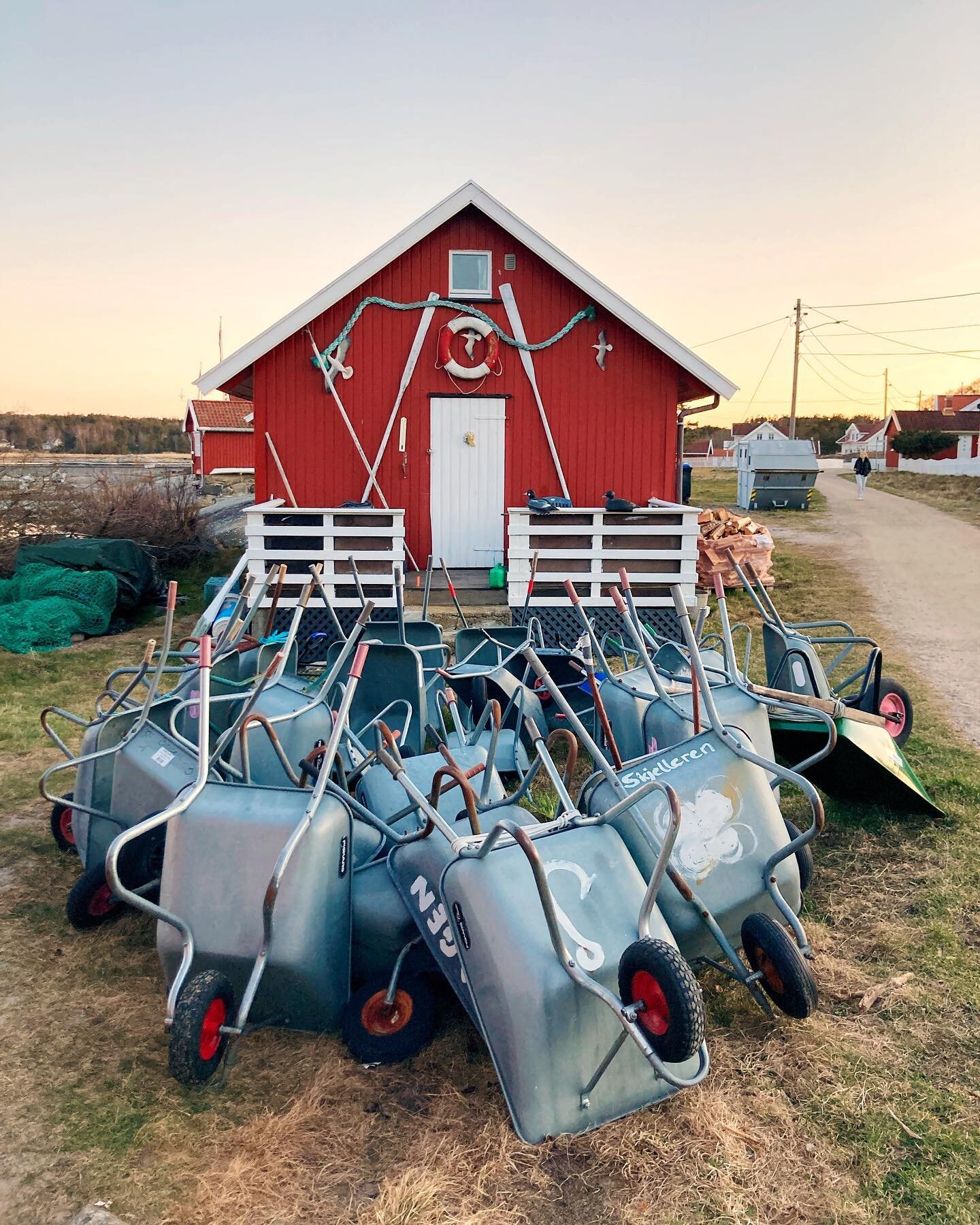 Trilleb&aring;rene er klare for kommende sesong 🐣

#iphonography #iphone #trilleb&aring;r #wheelbarrow #herf&oslash;l #herfol #hvaler #hvaleridyll #visitnorway #visithvalerogfredrikstad #utno #friluftsliv #stocktella #sunset