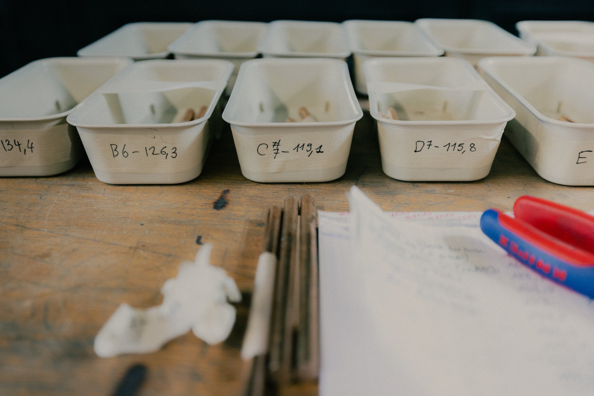 Julie Semoroz La Promenade Michael Cordey 11.jpg