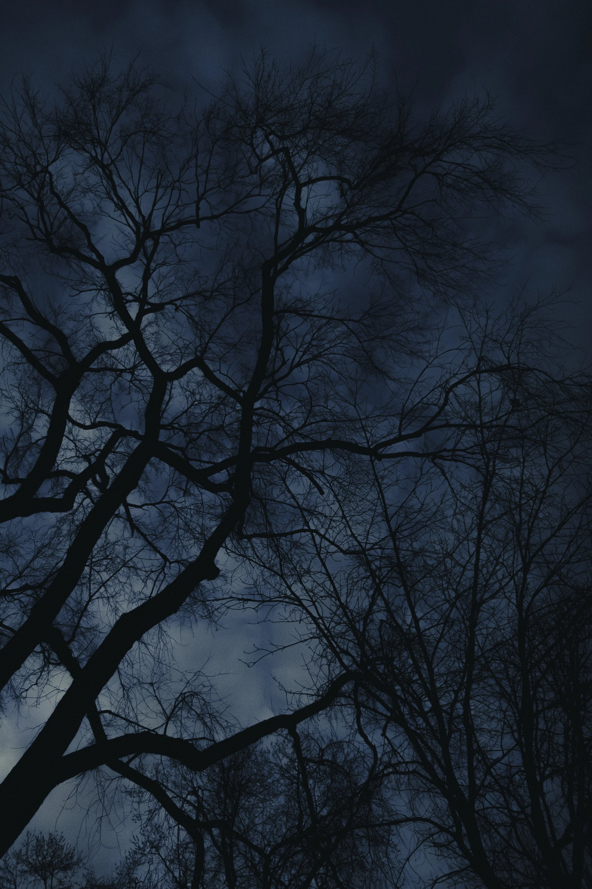 “_MG_1618” by Brandon Ma