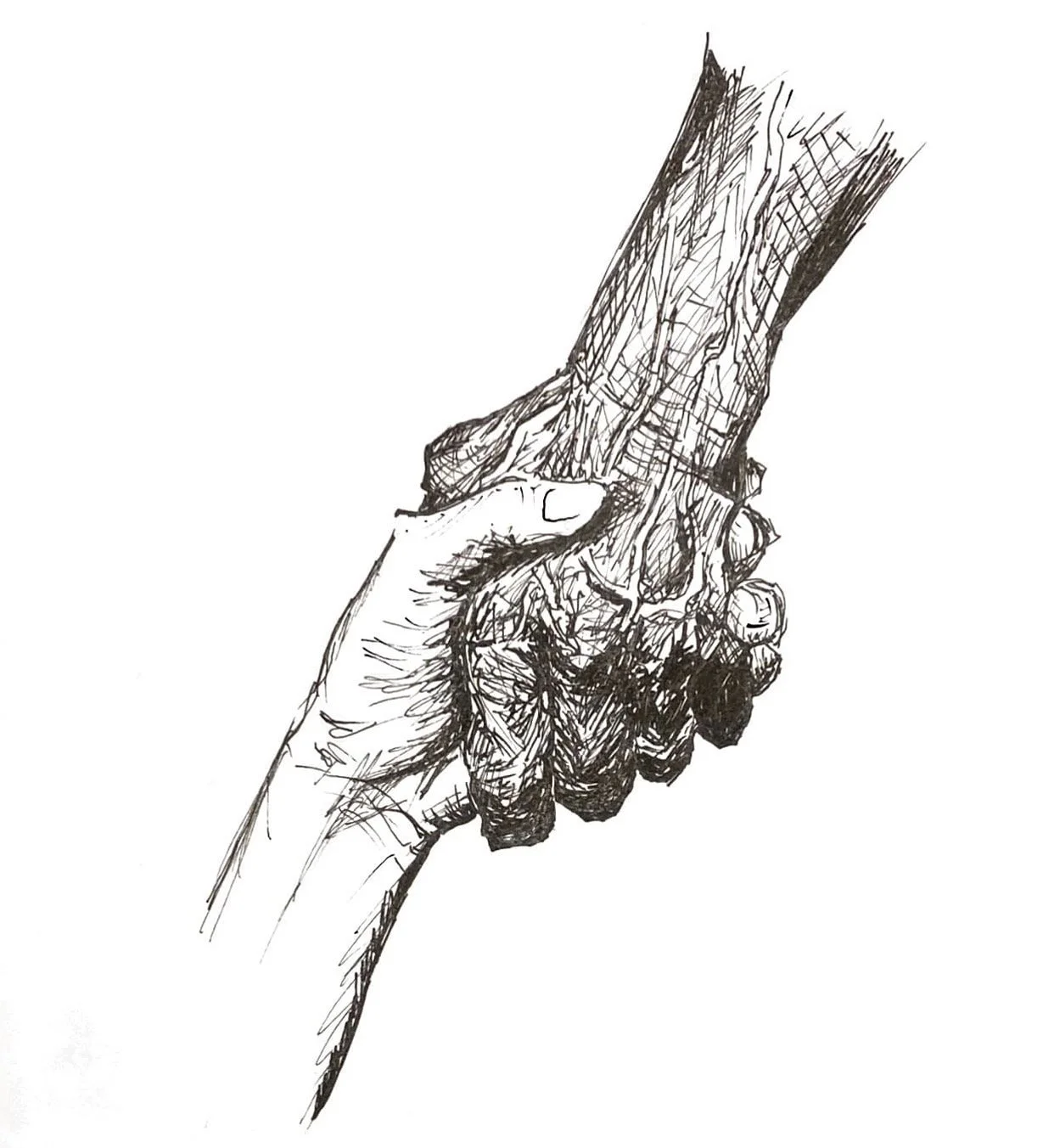 “Graduation” by Sam Yu