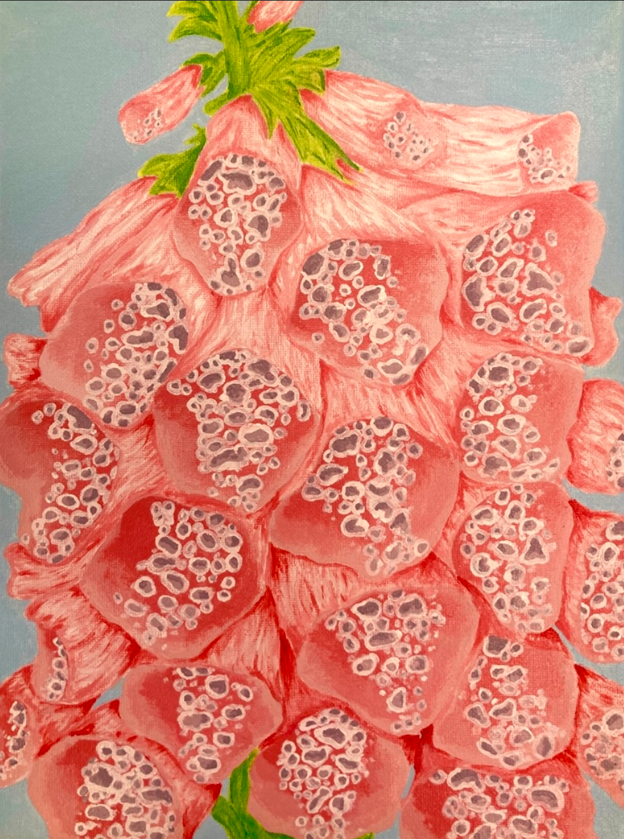 “Foxgloves” by Kelsey Dunn