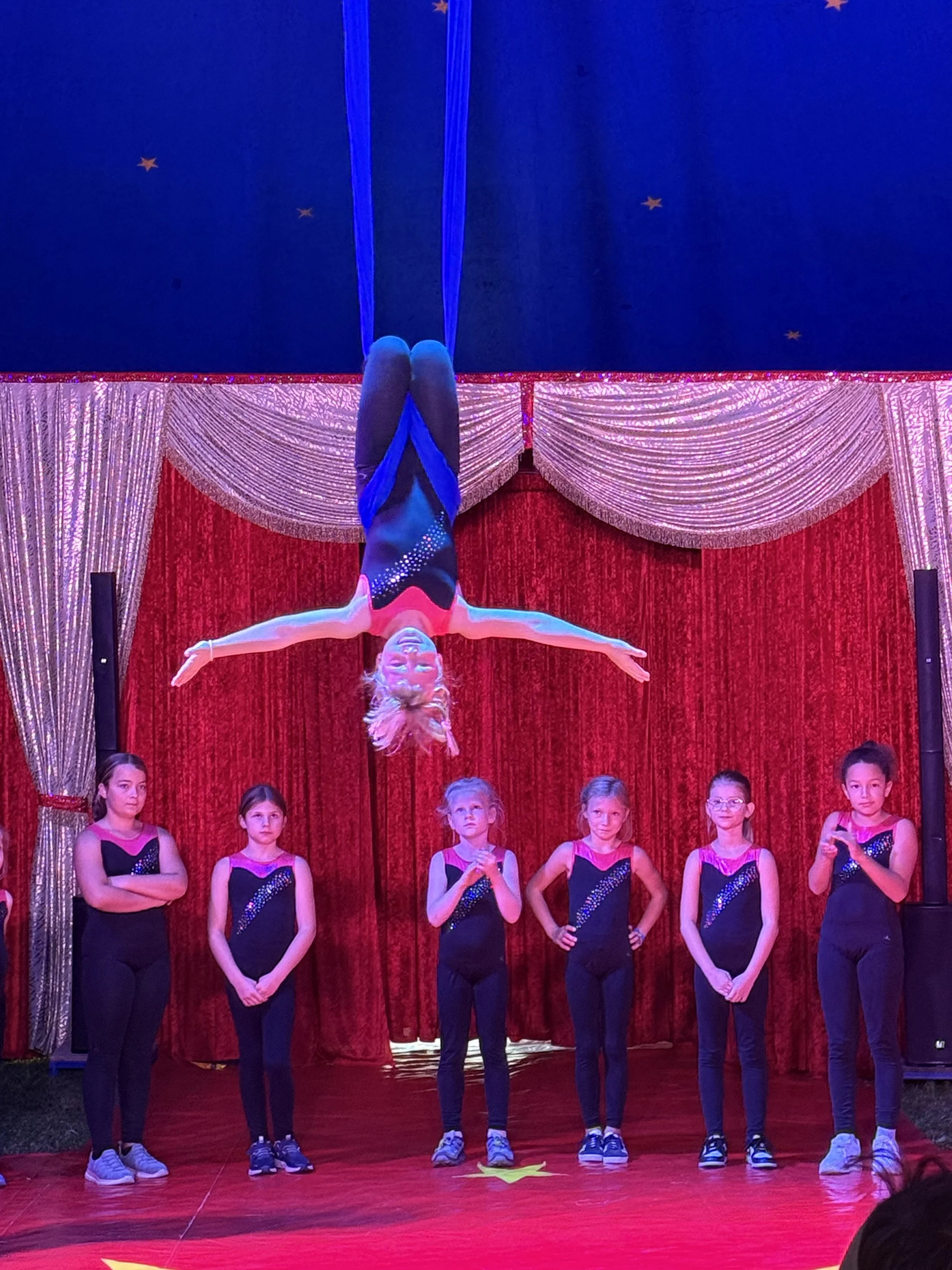 Eine unvergessliche Zirkuswoche