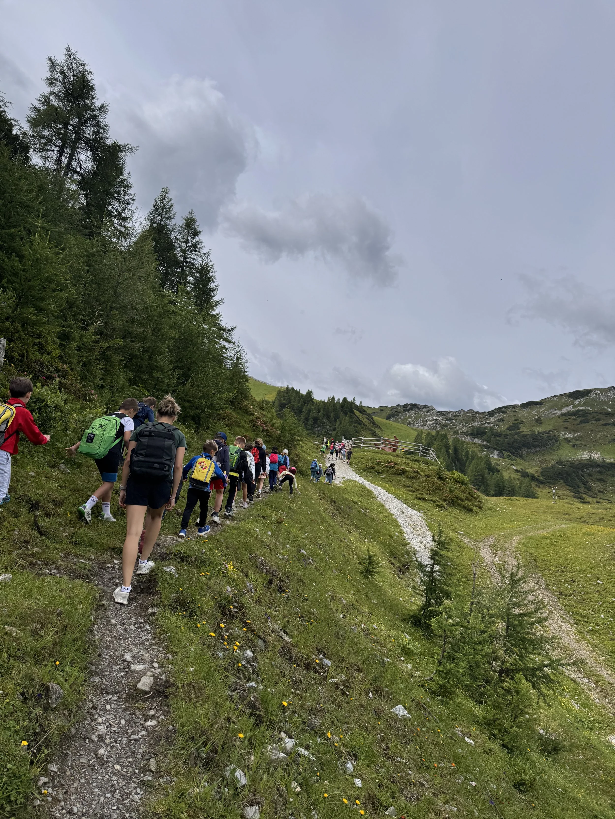 Bild-20260707-082831-36fdd519.jpeg