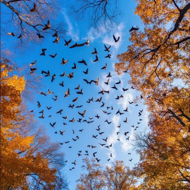 A Conversation With Being