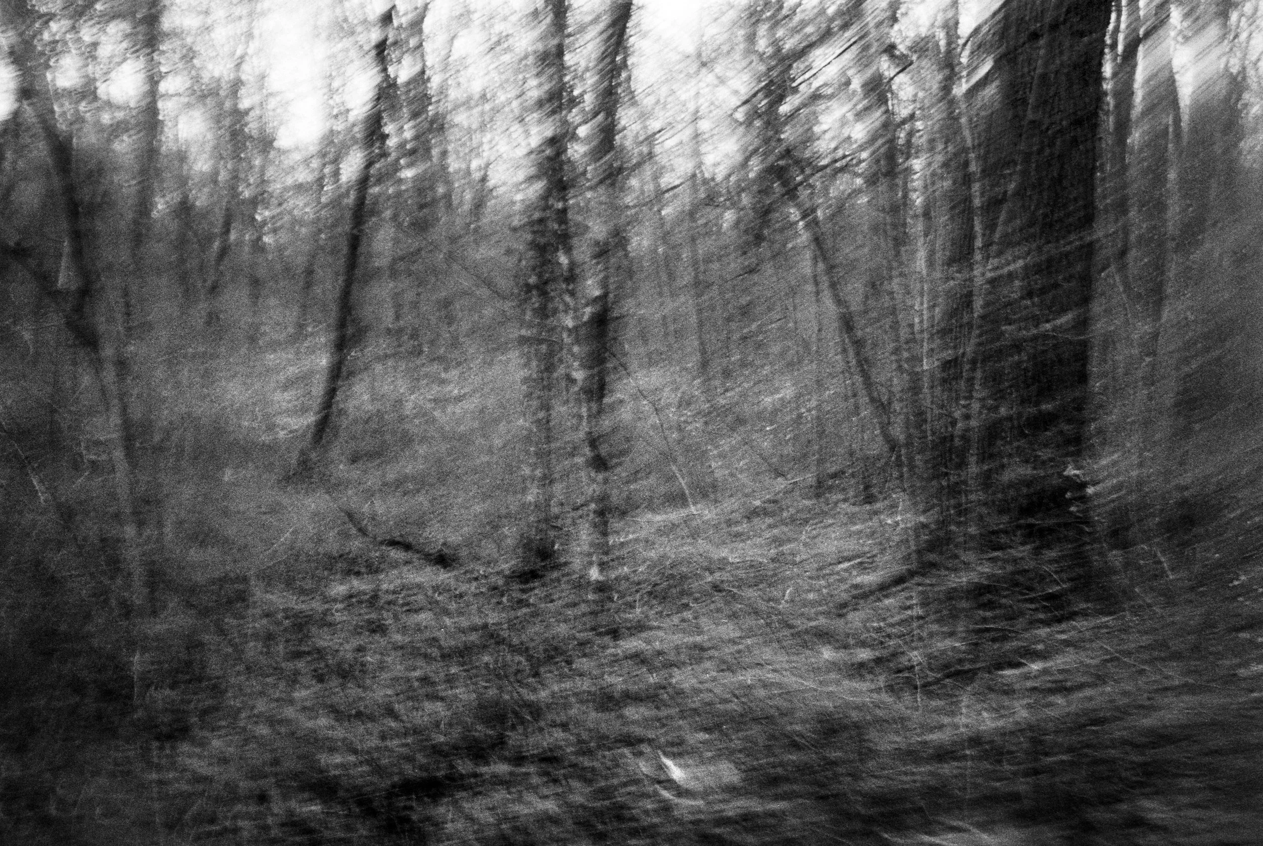 BOS20240021W00018-29A copie.jpg