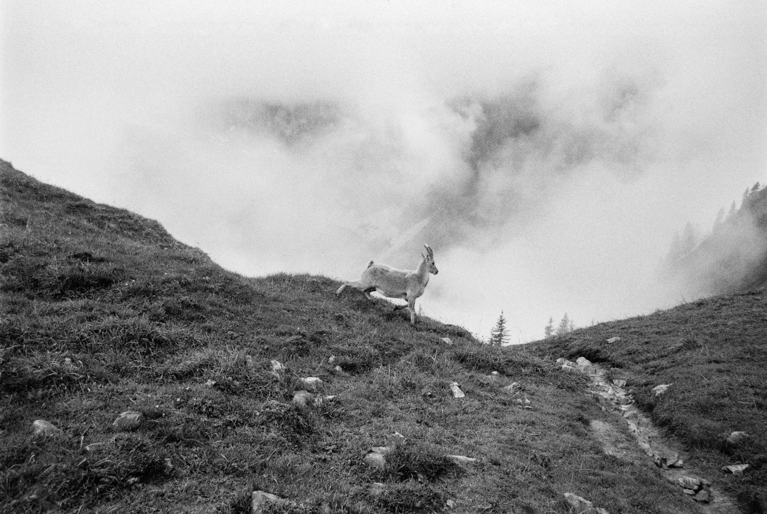 BOS20240021W00042-27A copie.jpg