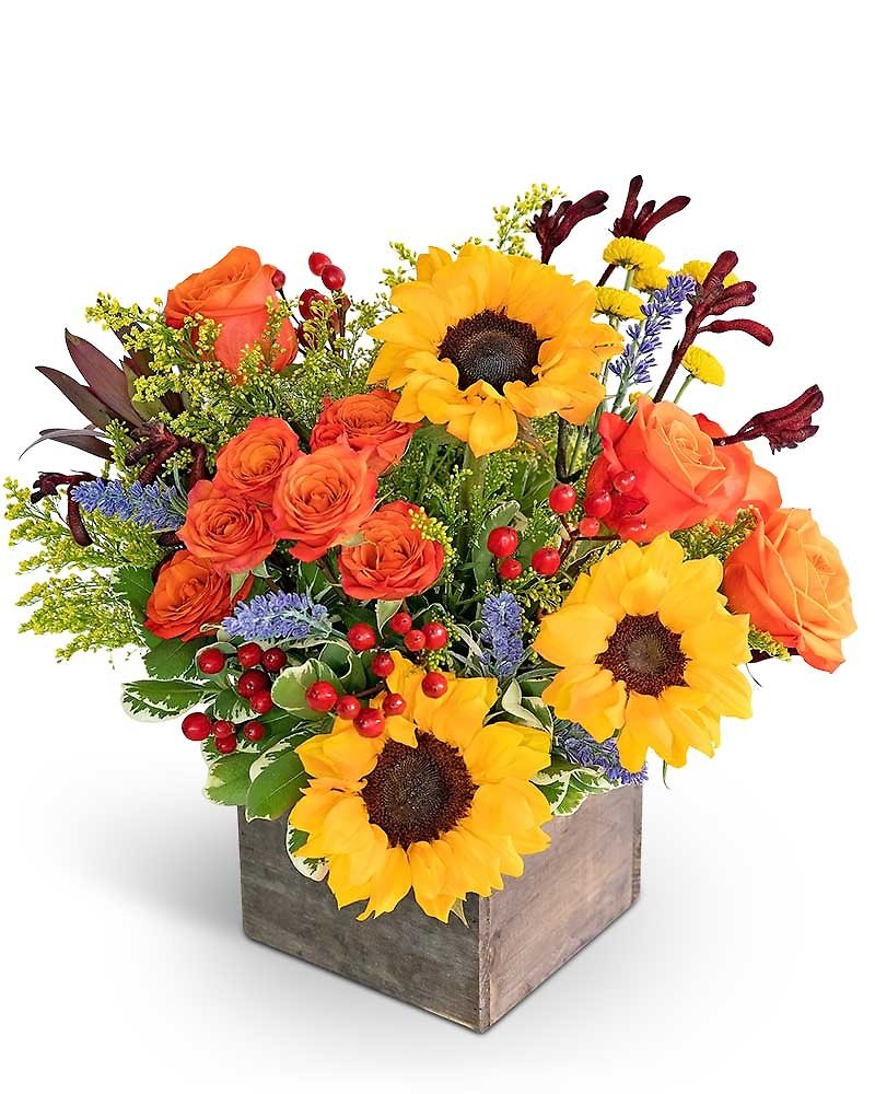 Sunset Blooms