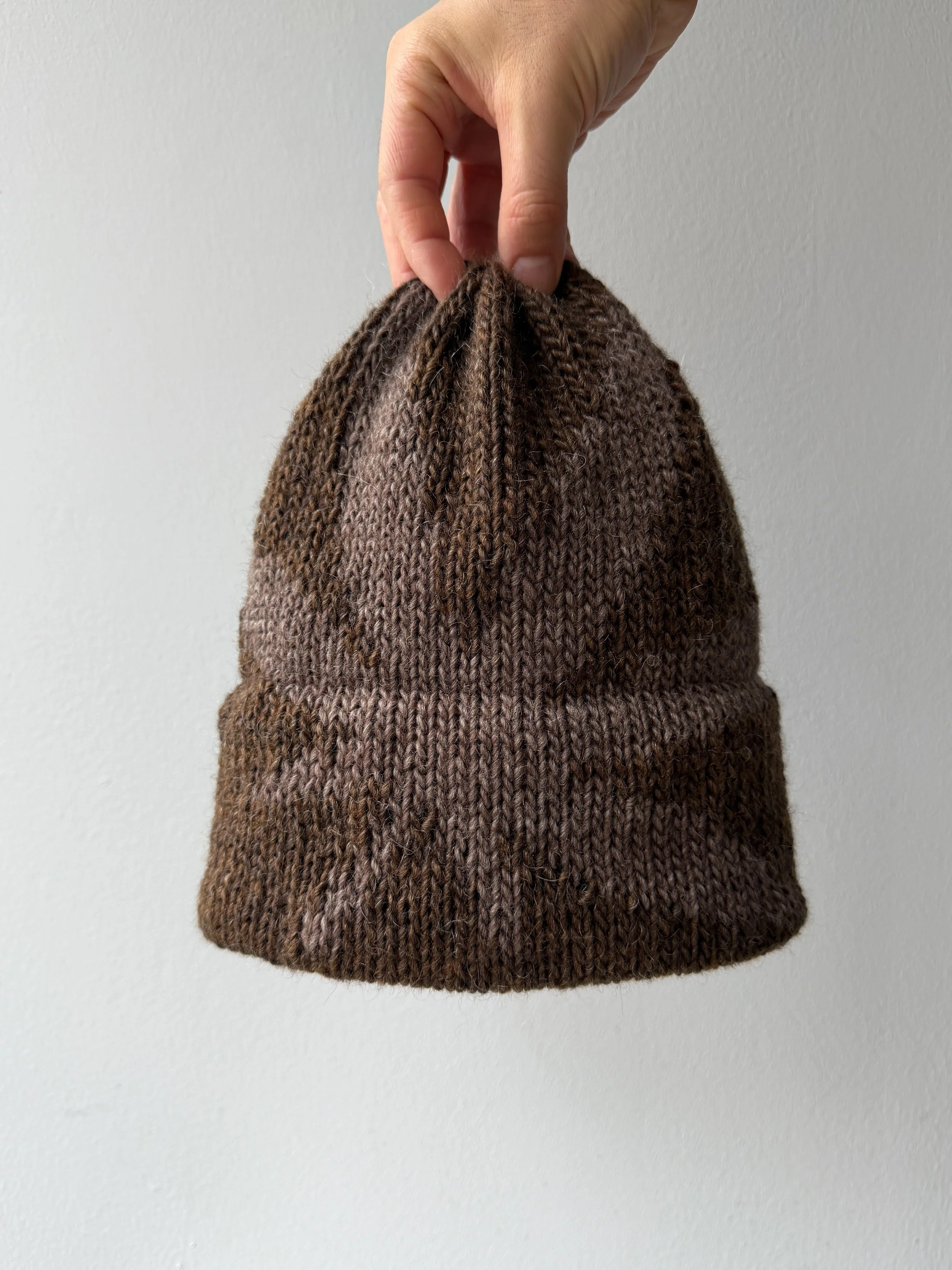 Bark with Light Brown Leaf