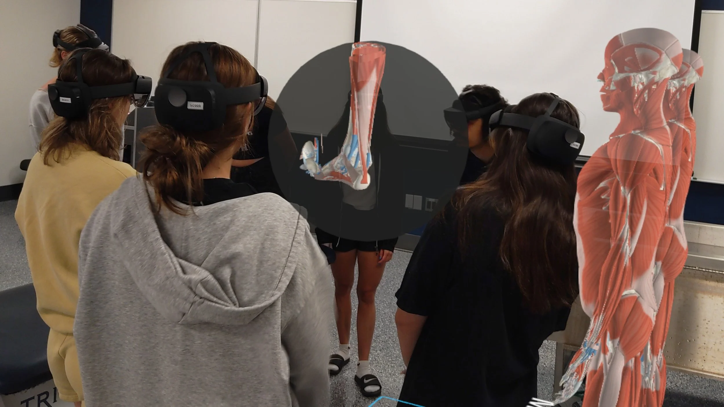 Partner Story: A window into Sheridan College’s HoloAnatomy® journey