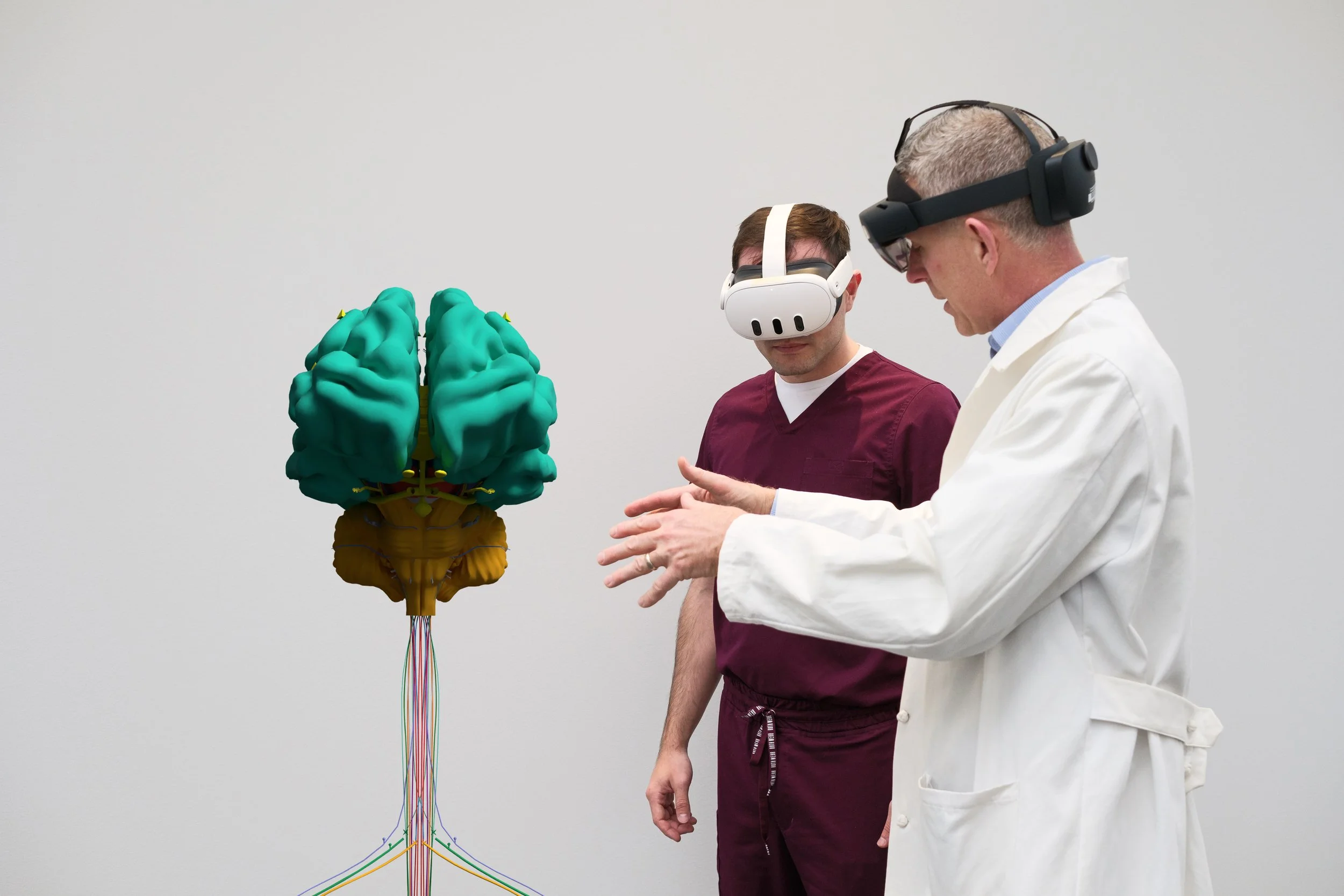 Two medical professionals wearing virtual reality headsets observe a realistic 3D model of a brain and nervous system with colorful nerve pathways
