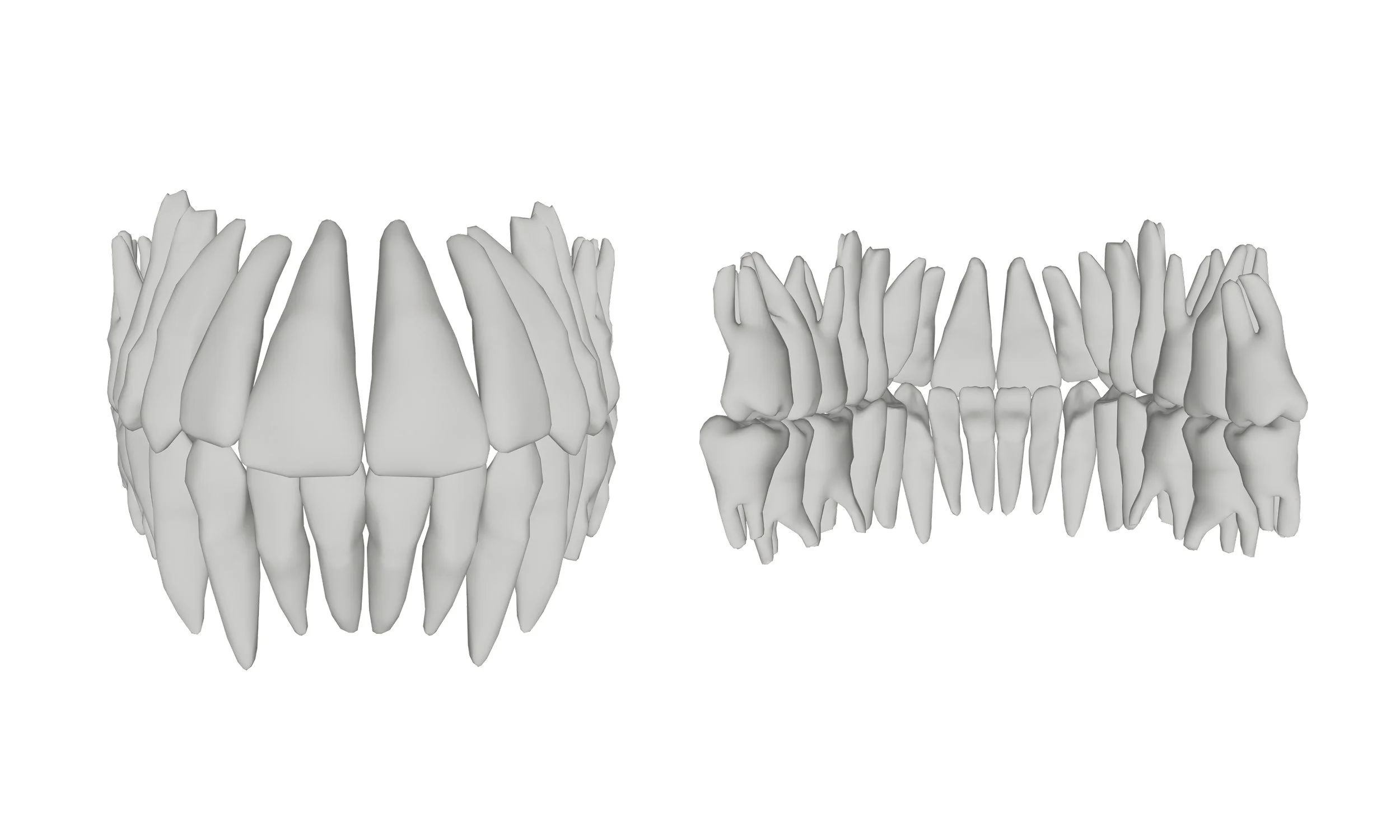 Dentition