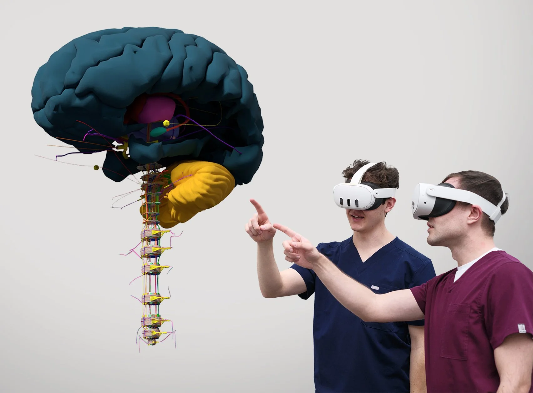 Two men in Meta Quest headsets point at a large 3D model of the HoloAnatomy Neuro brain in mixed reality.