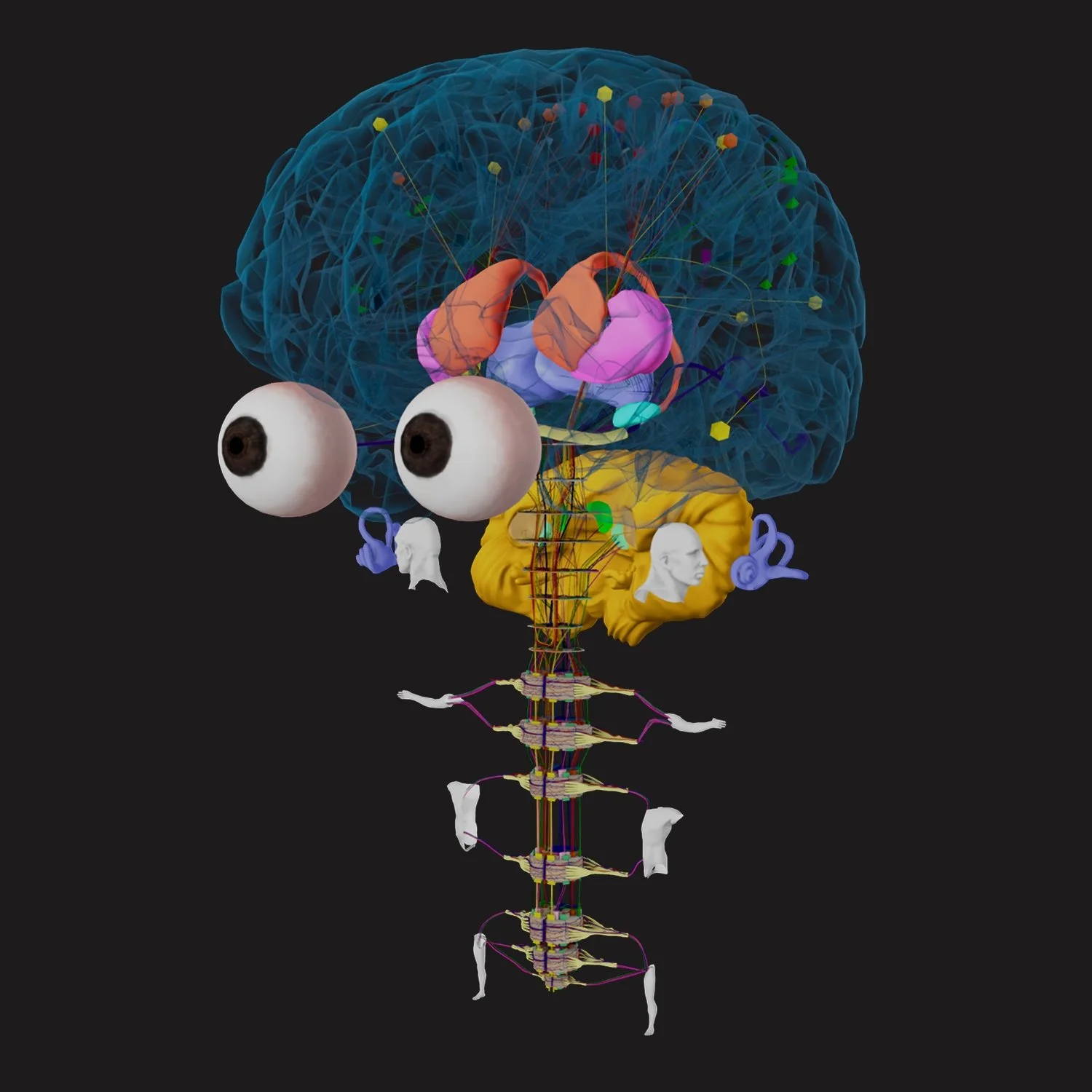 HoloAnatomy Neuro thumbnail showing a large brain with neural pathways and cross sections