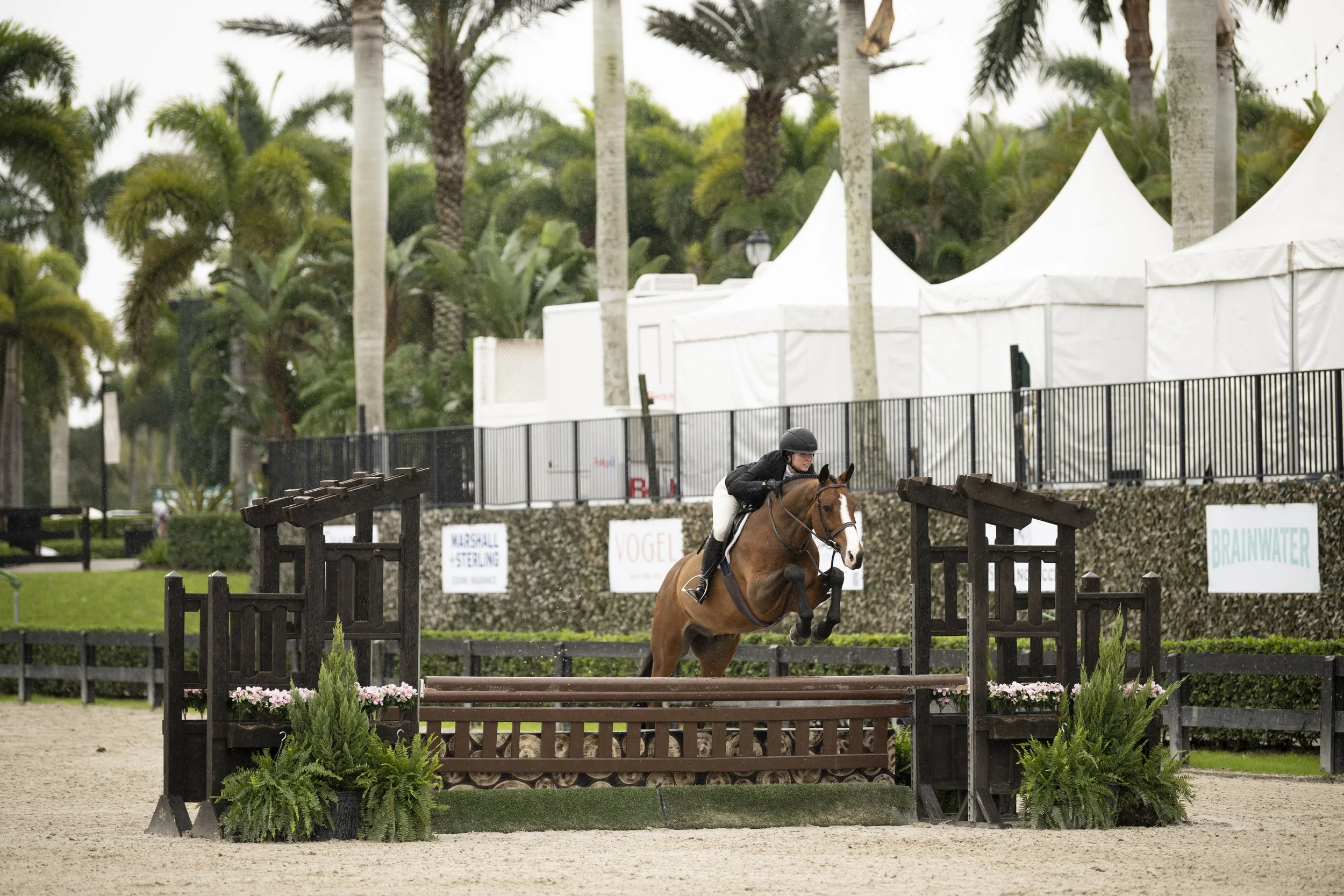 Lexi Maounis and Forsini-3.JPG