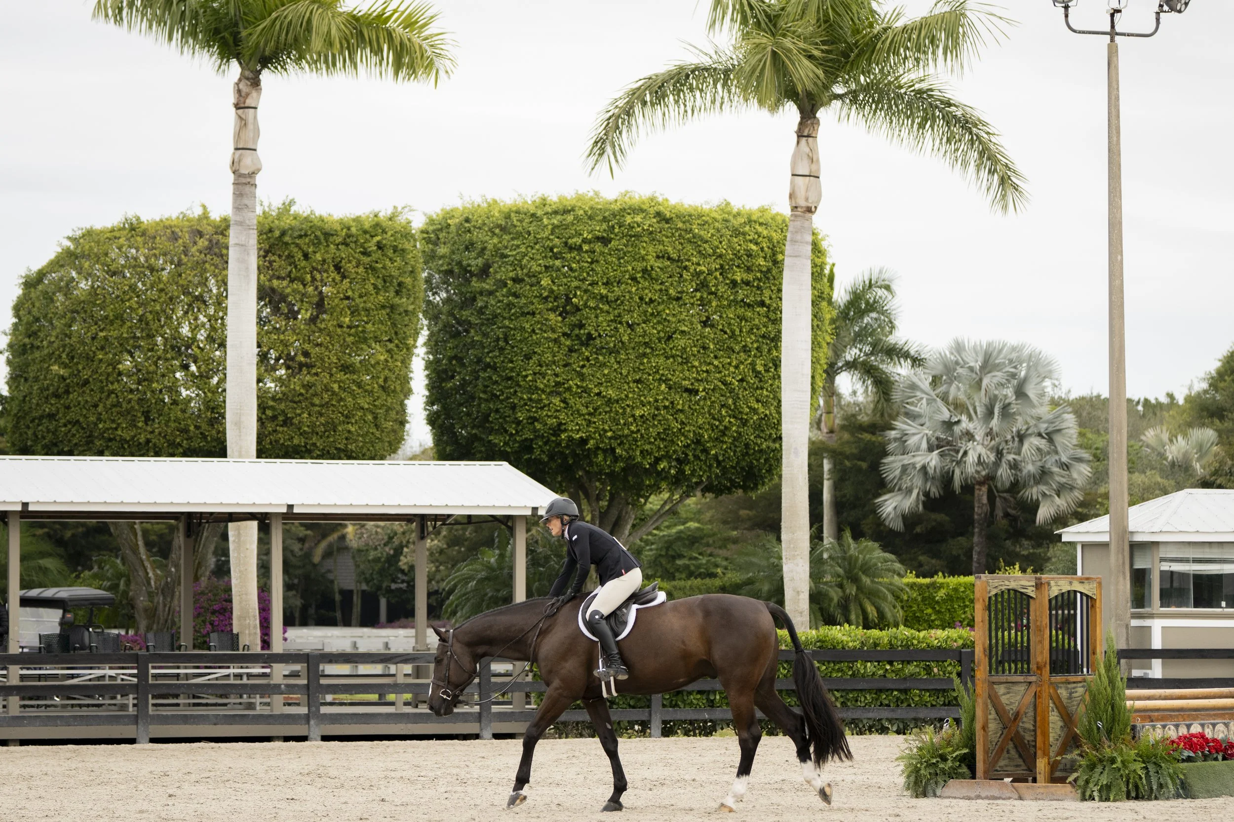 Tennille Kerrigan and Satori-3.JPG