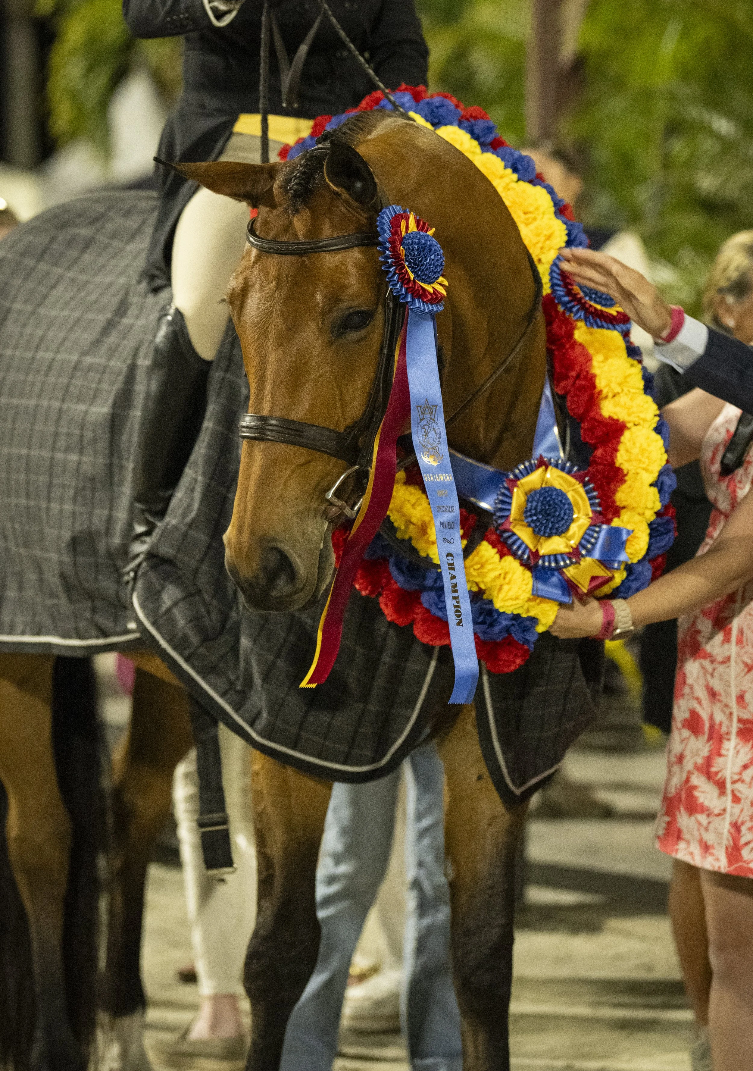 Tori Colvin and Dico Blue PS- 100-28.JPG