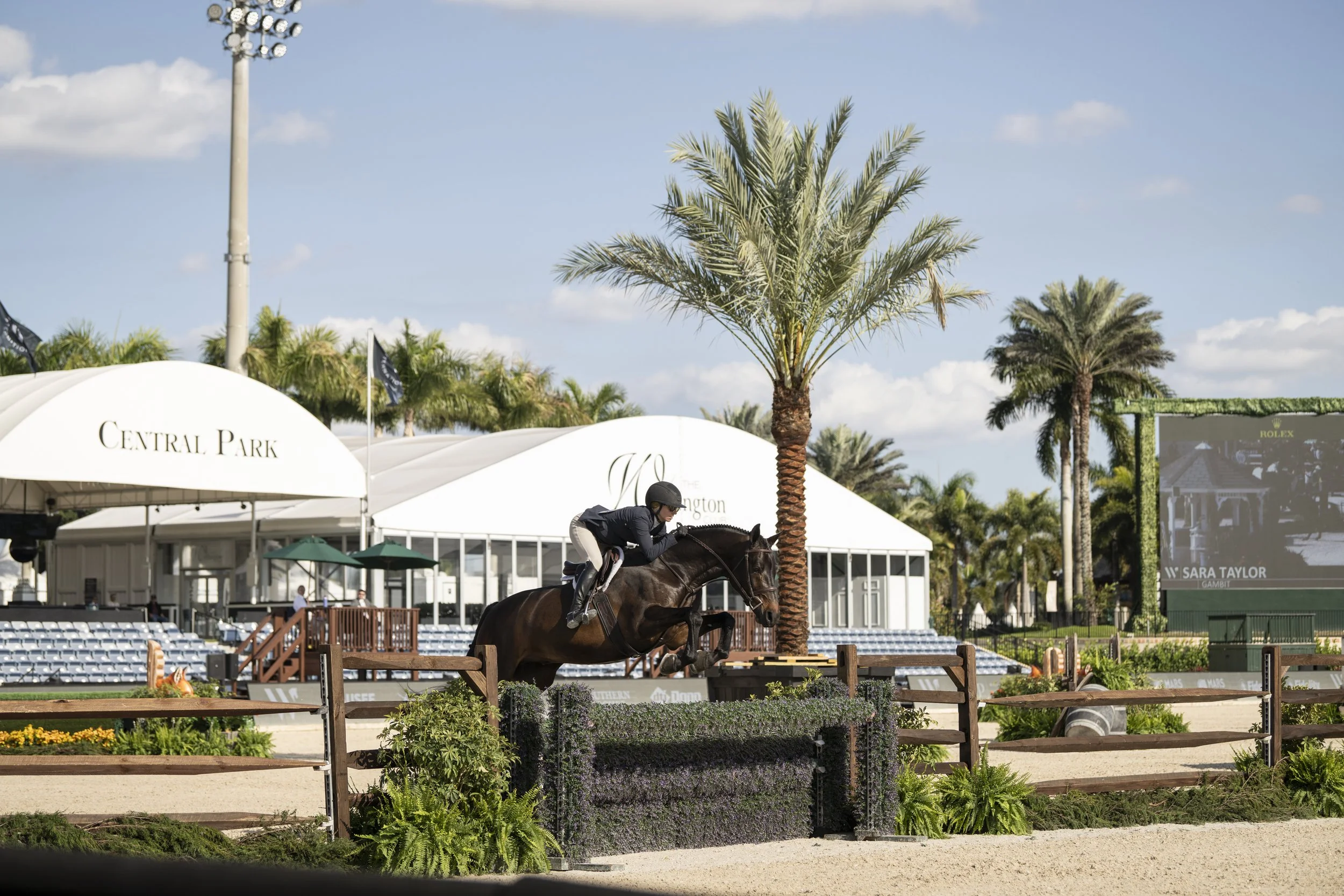 Sara Taylor and Gambit-1.JPG