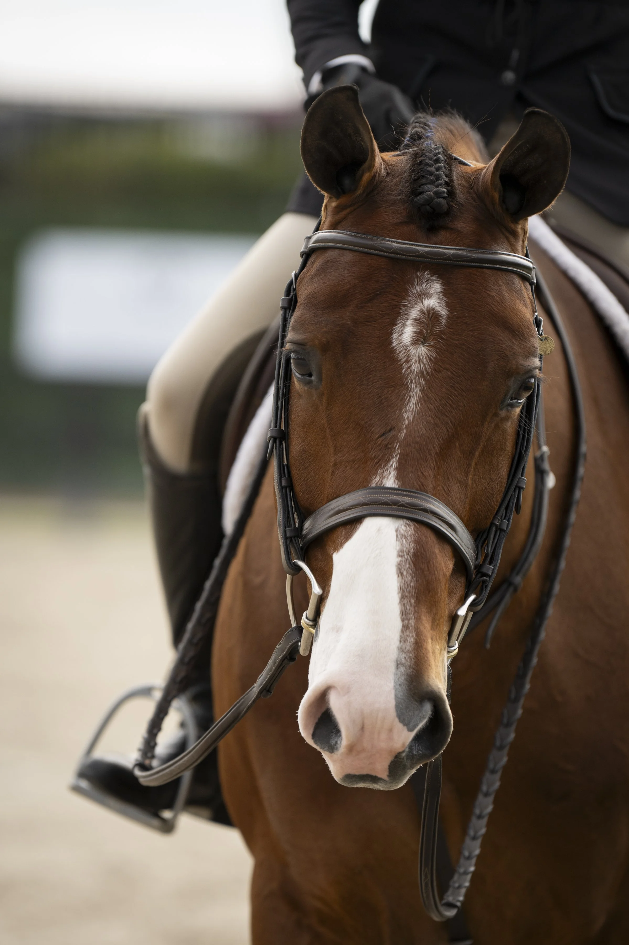 Tori Colvin and Snoop-6.JPG