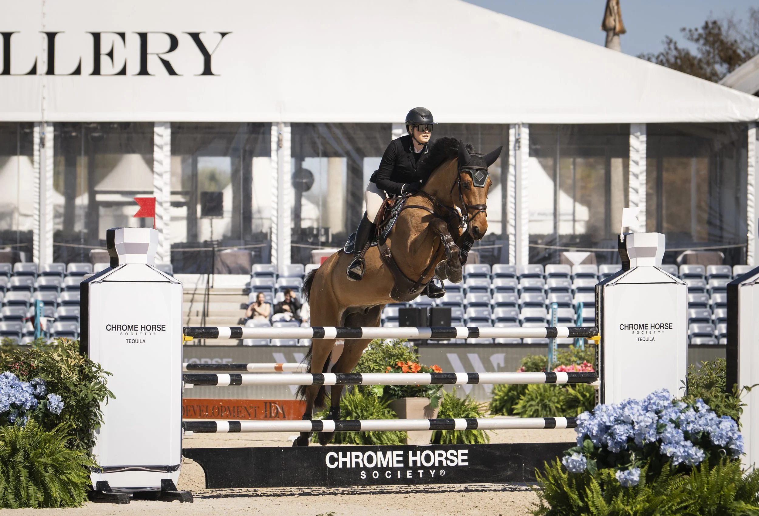 Selah Shepard and Indigo VDL-3.JPG