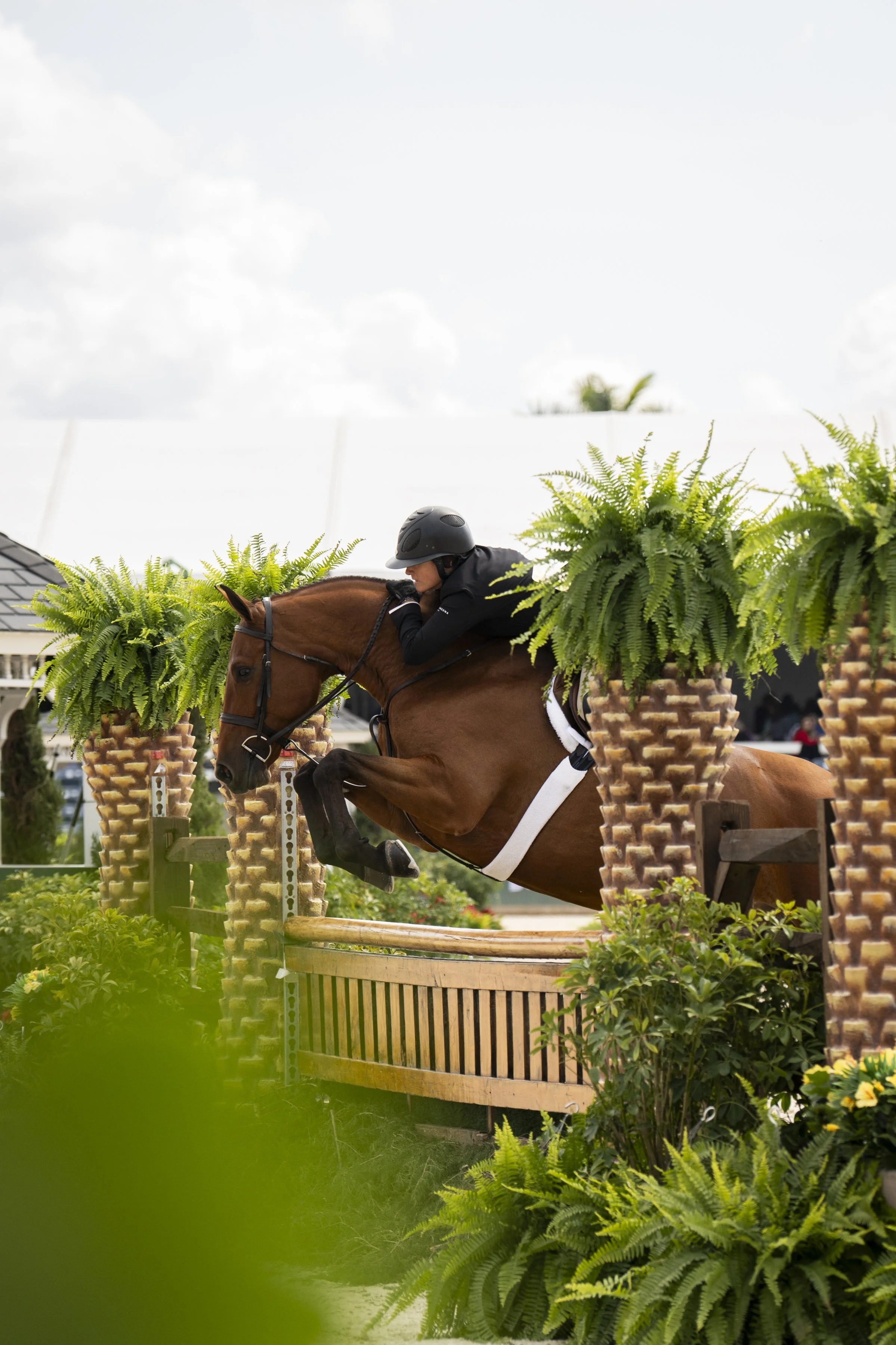 Tori Colvin and Odette-7.JPG