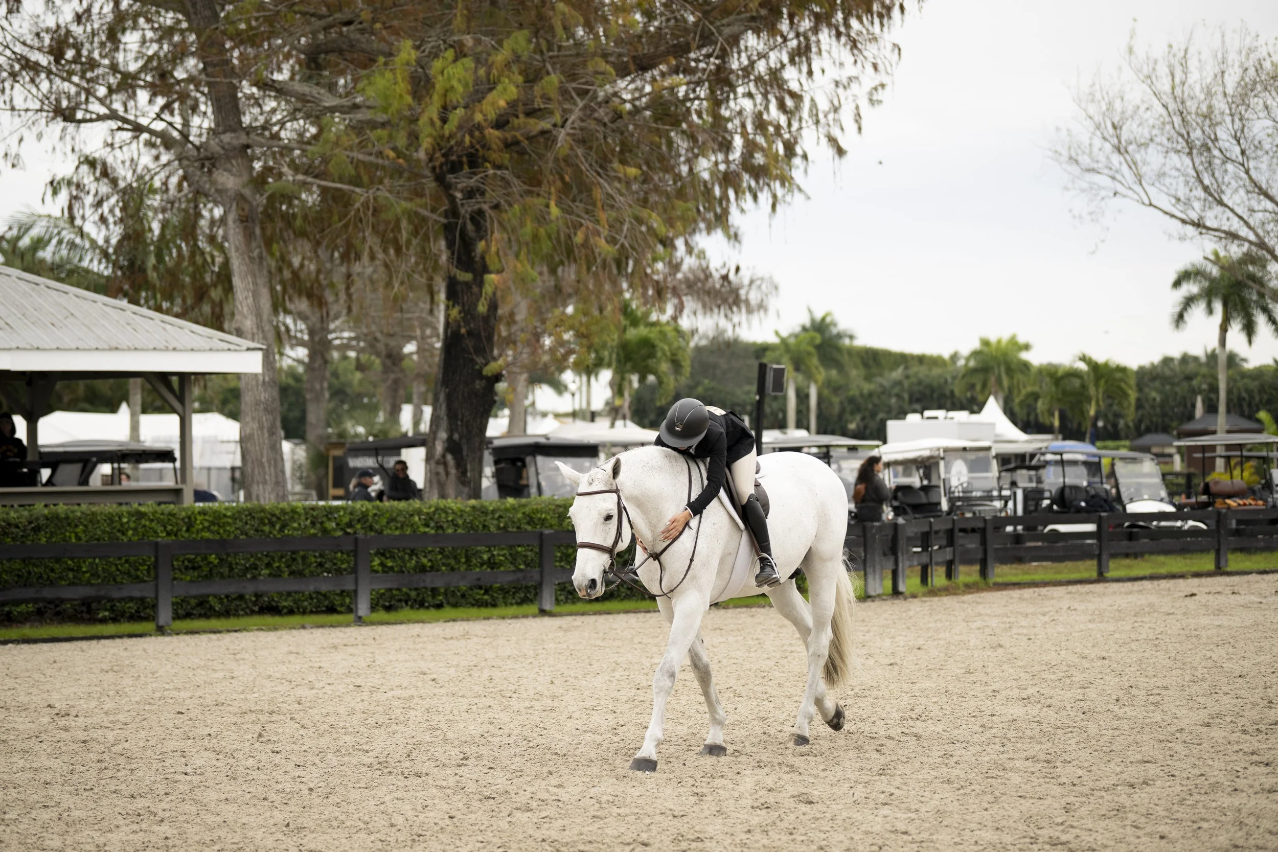 Katie Durban and Anthem AOs-11.JPG