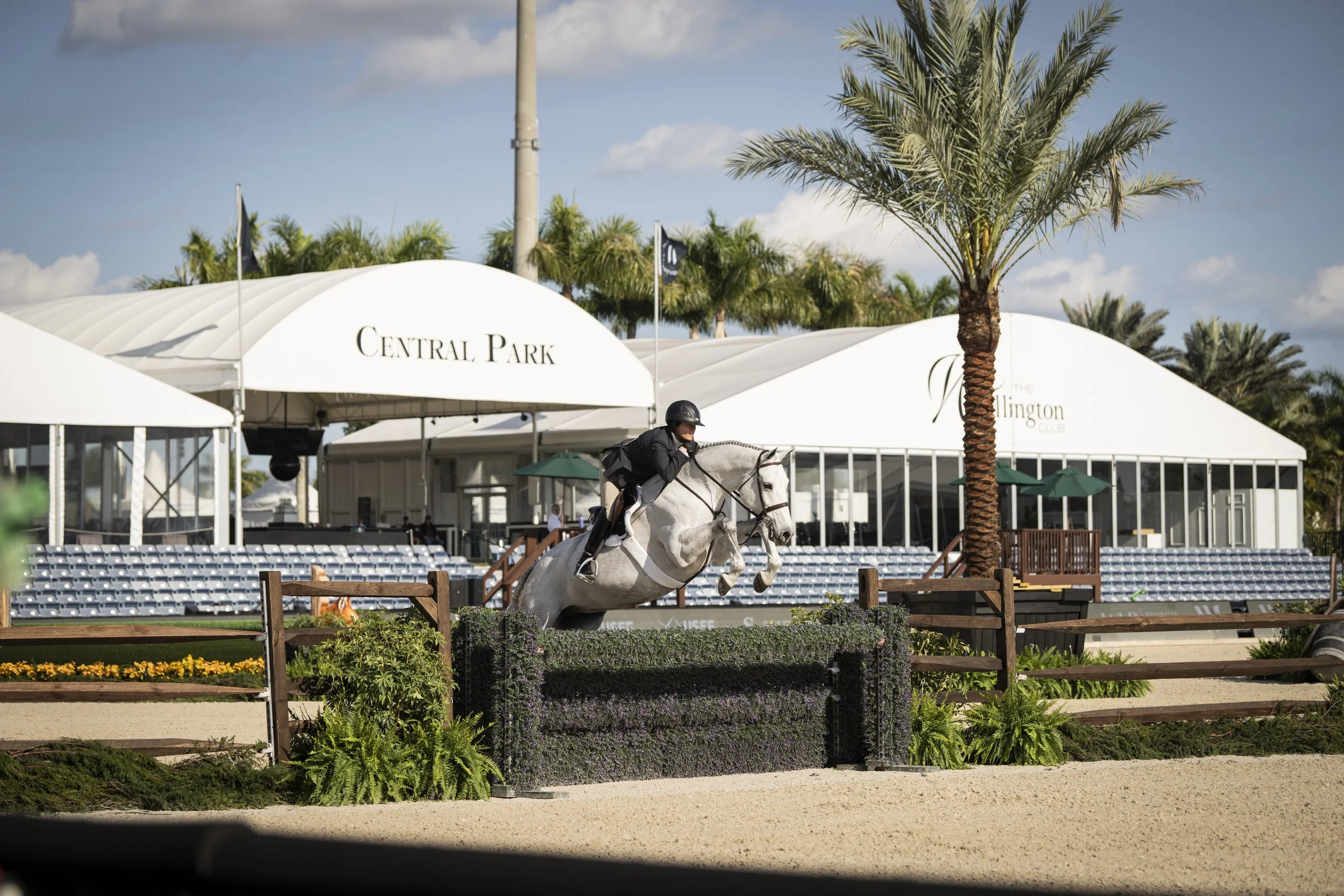 Tori Colvin and Circa-Int-2.JPG