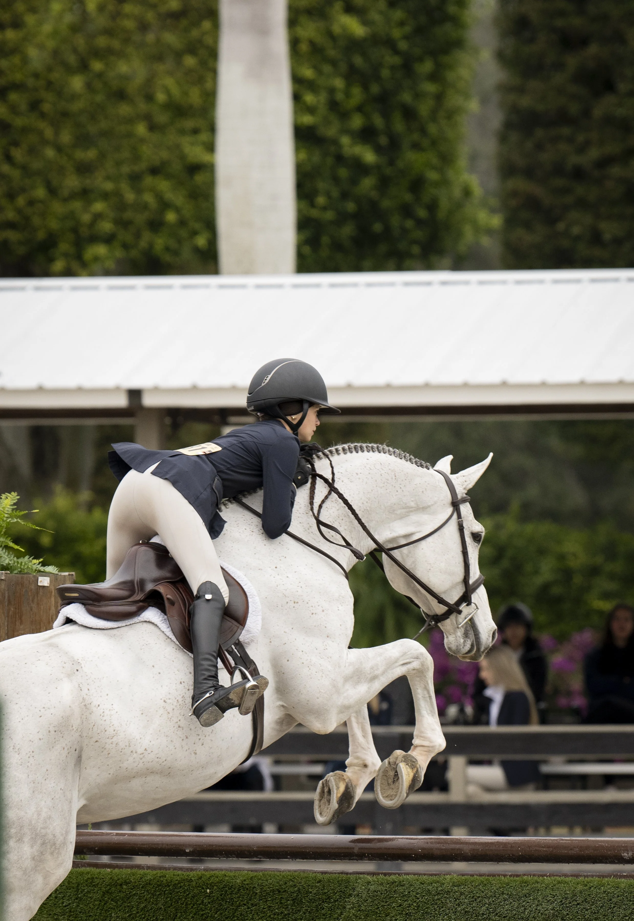 Elle Boyd and Bugatti-8.JPG