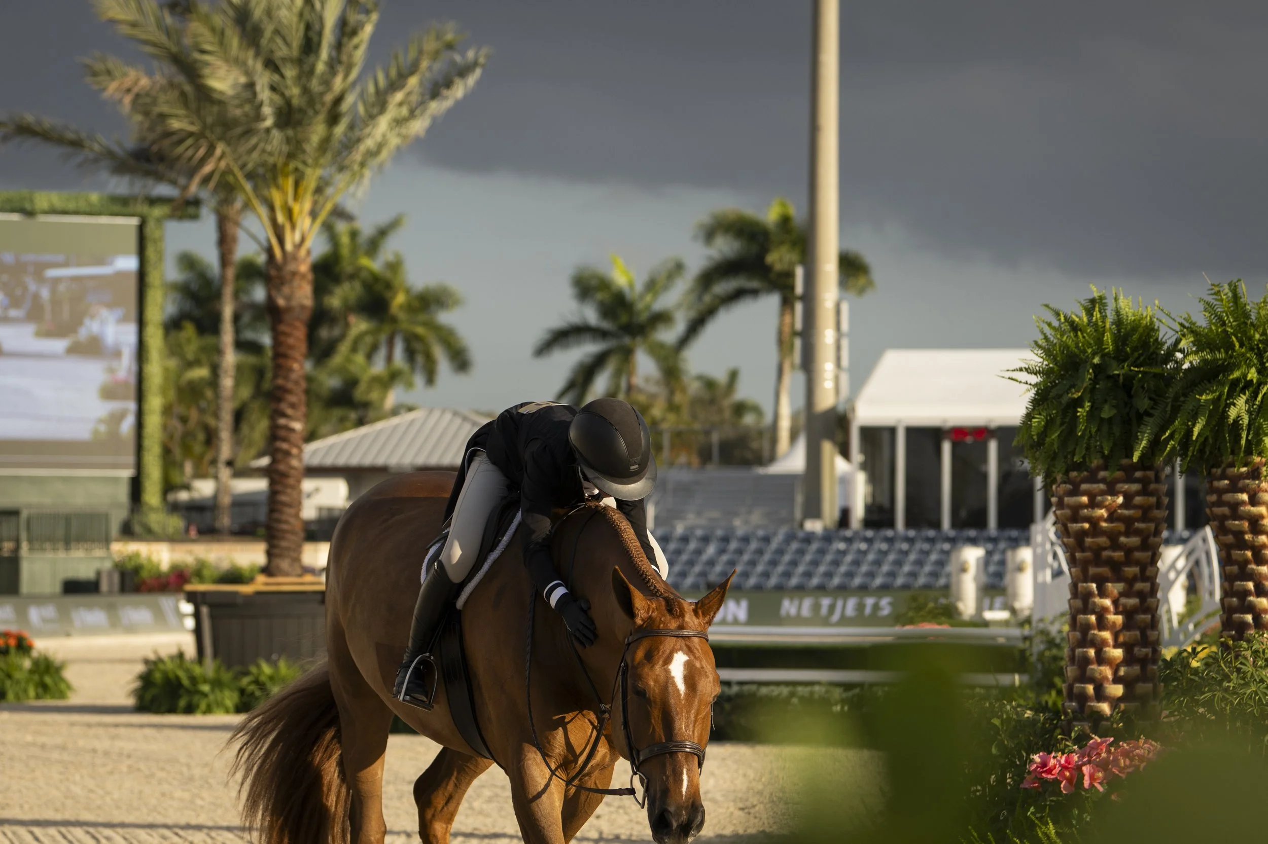 Chloe Belsky and Candescent -8.JPG