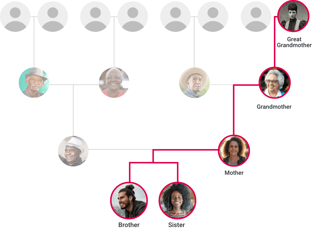 Línea materna directa