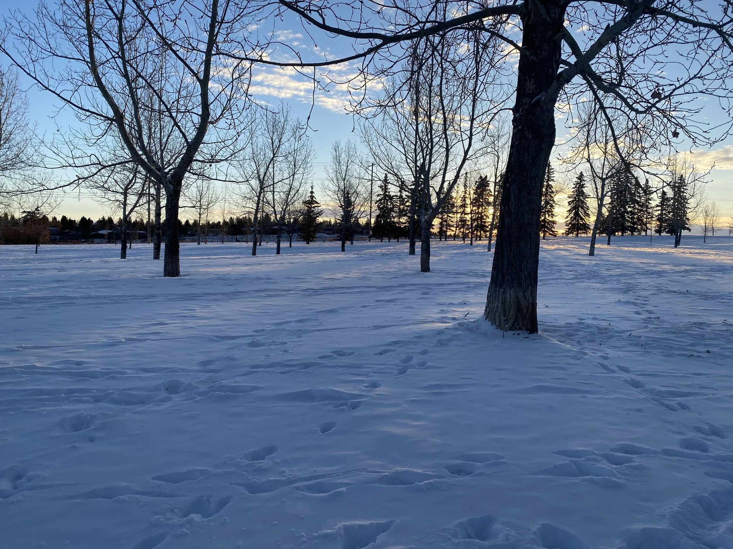 I Experienced Miracles Today