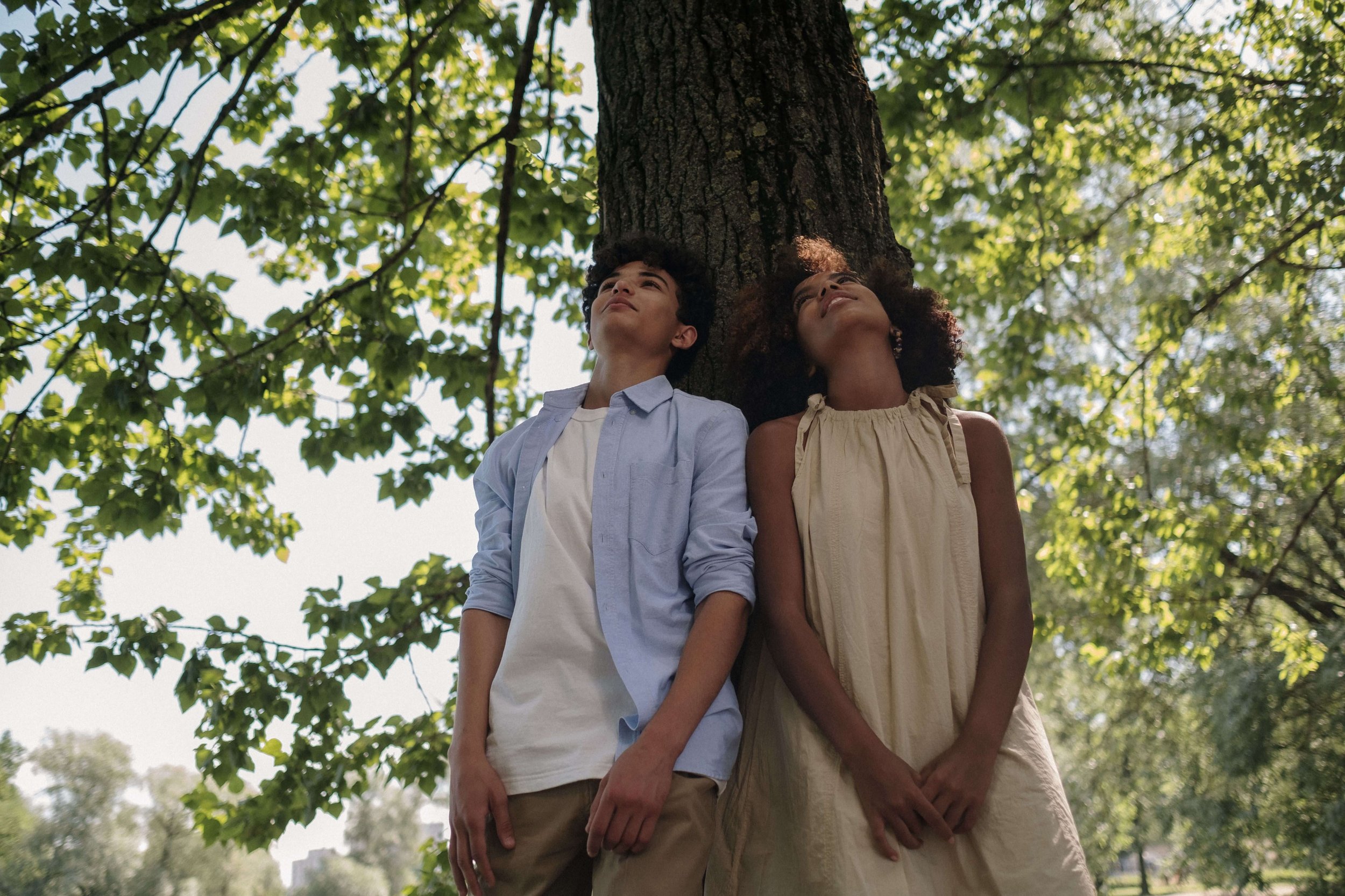Two teenage friends stand side by side beneath a leafy tree, looking up into the branches.