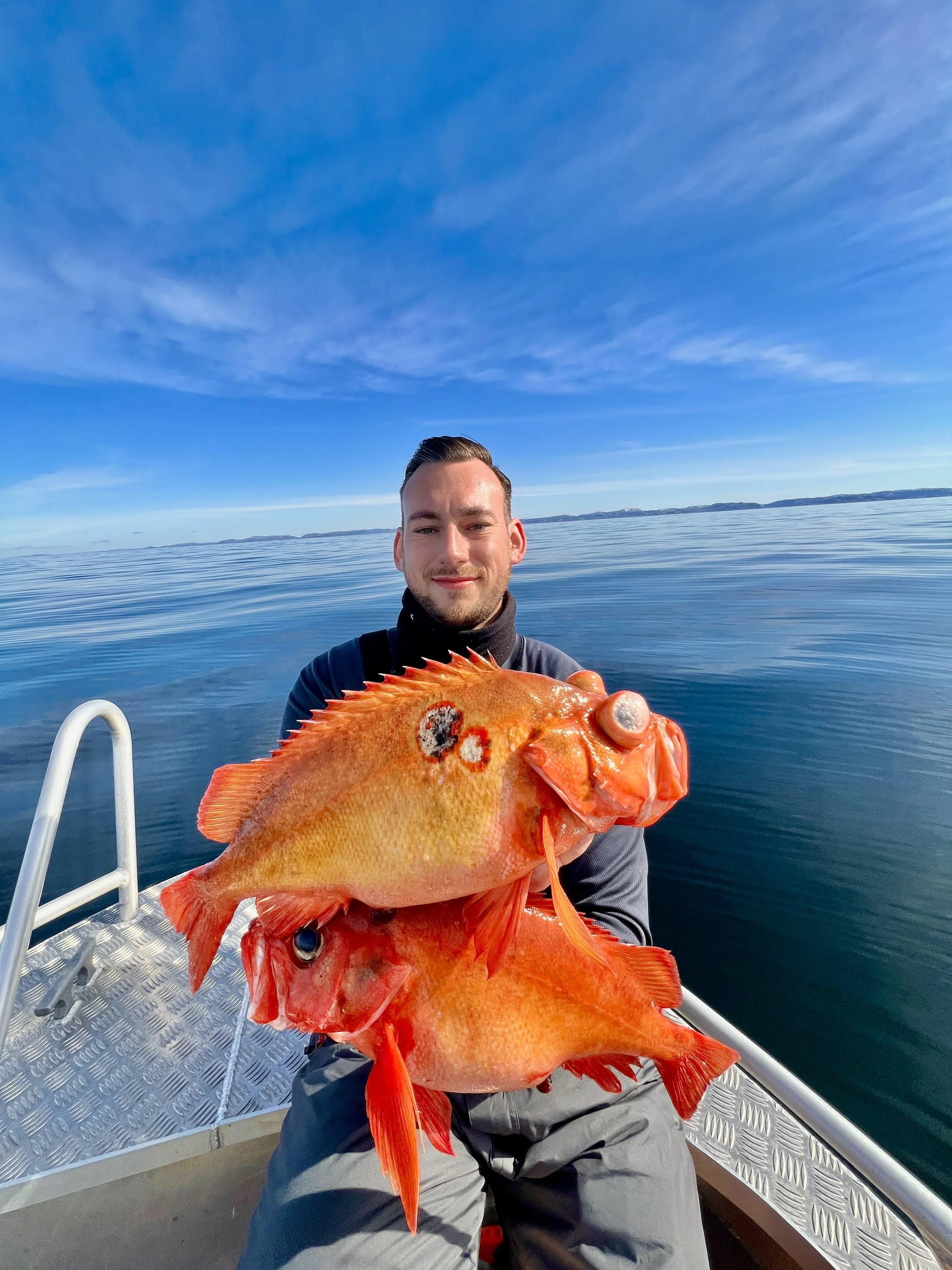 Rotbarsche 3.0 Favorit.JPG