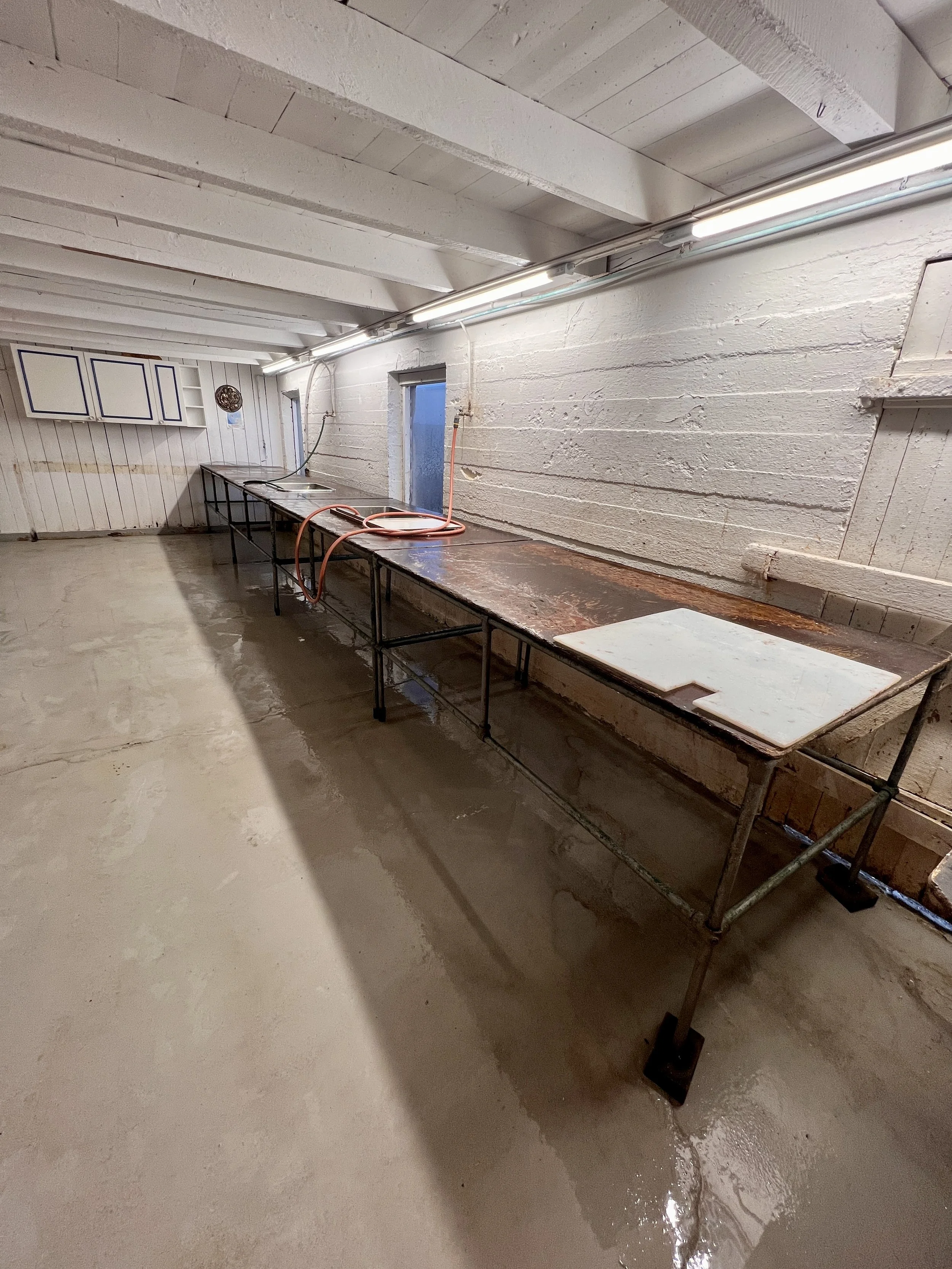 Filetierhaus aktuell.JPG