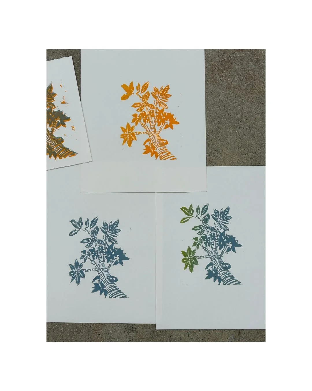 --first time to make a Lino print. My subject is the magnolia tree Craig and I planted for our anniversary years ago. --a well loved surface of my studio worktable. --small paintings in process, finding their way and their voice through a multitude o