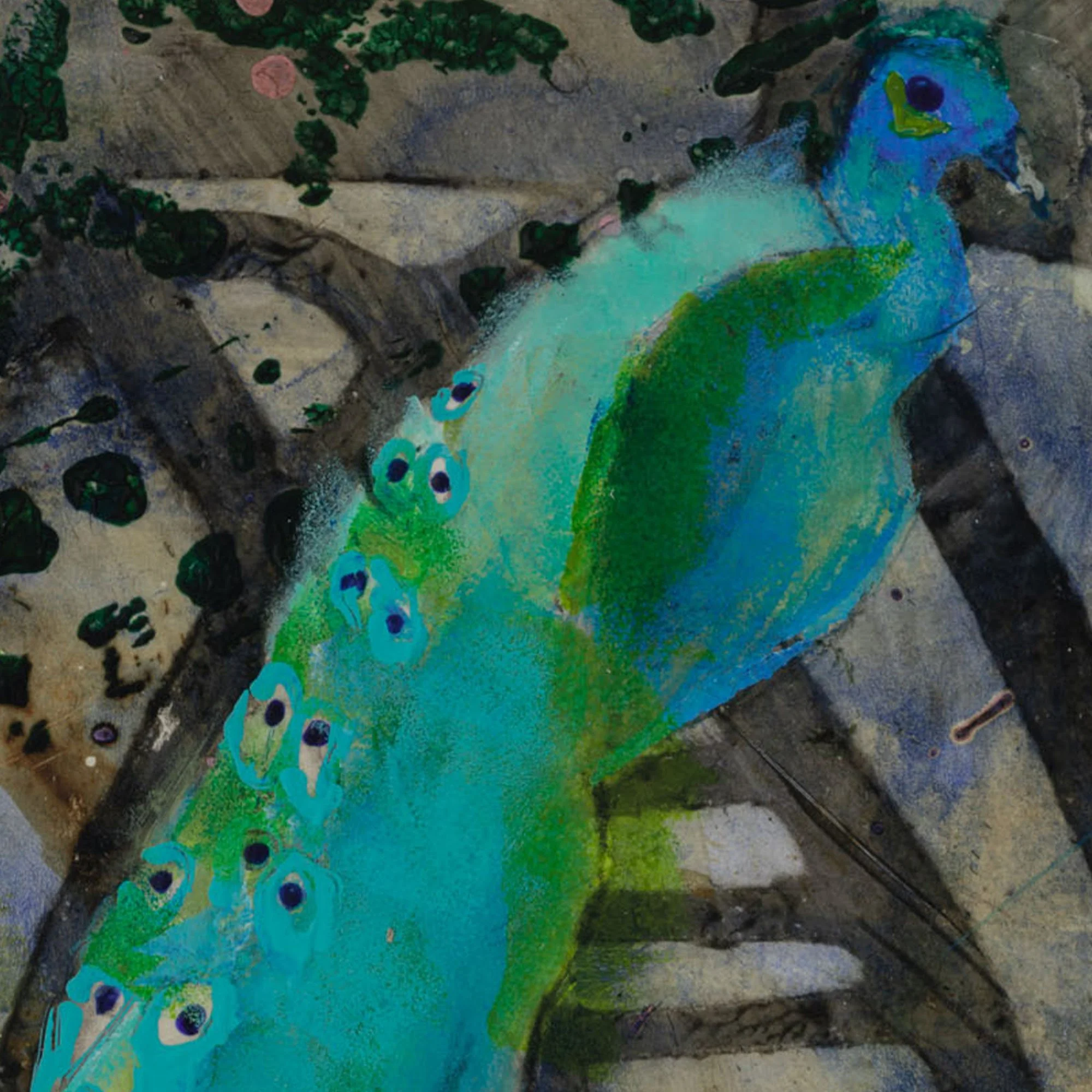 peacock details second.jpg