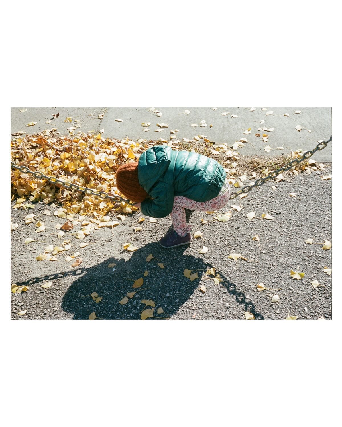 In and around Richmond, with Dre and the bird.