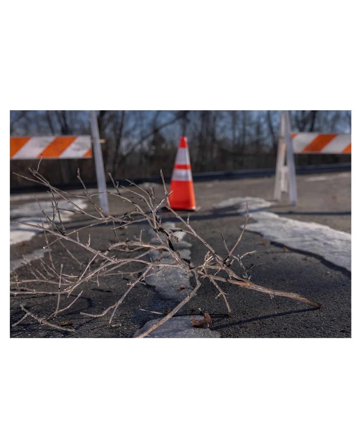 A new weekly thing to get the right side of my brain stewing: an early morning drive on the back roads between Richmond and Charlottesville.