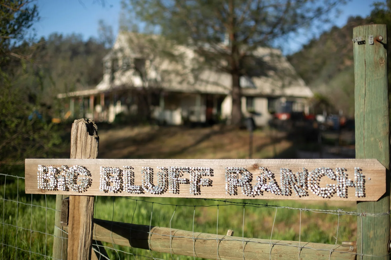 Big Bluff Ranch | Big Bluff Ranch | Regenerative Organic Chicken Delivered