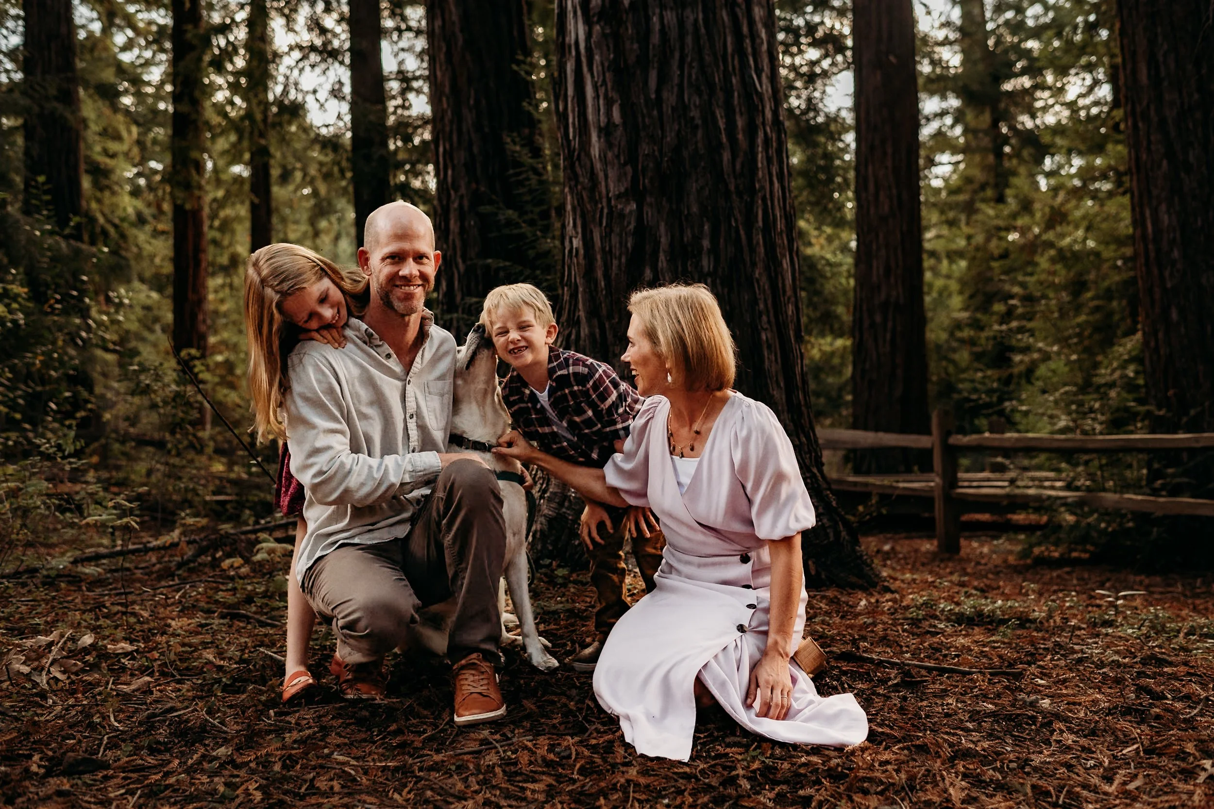 Redwood Grove - Los Altos