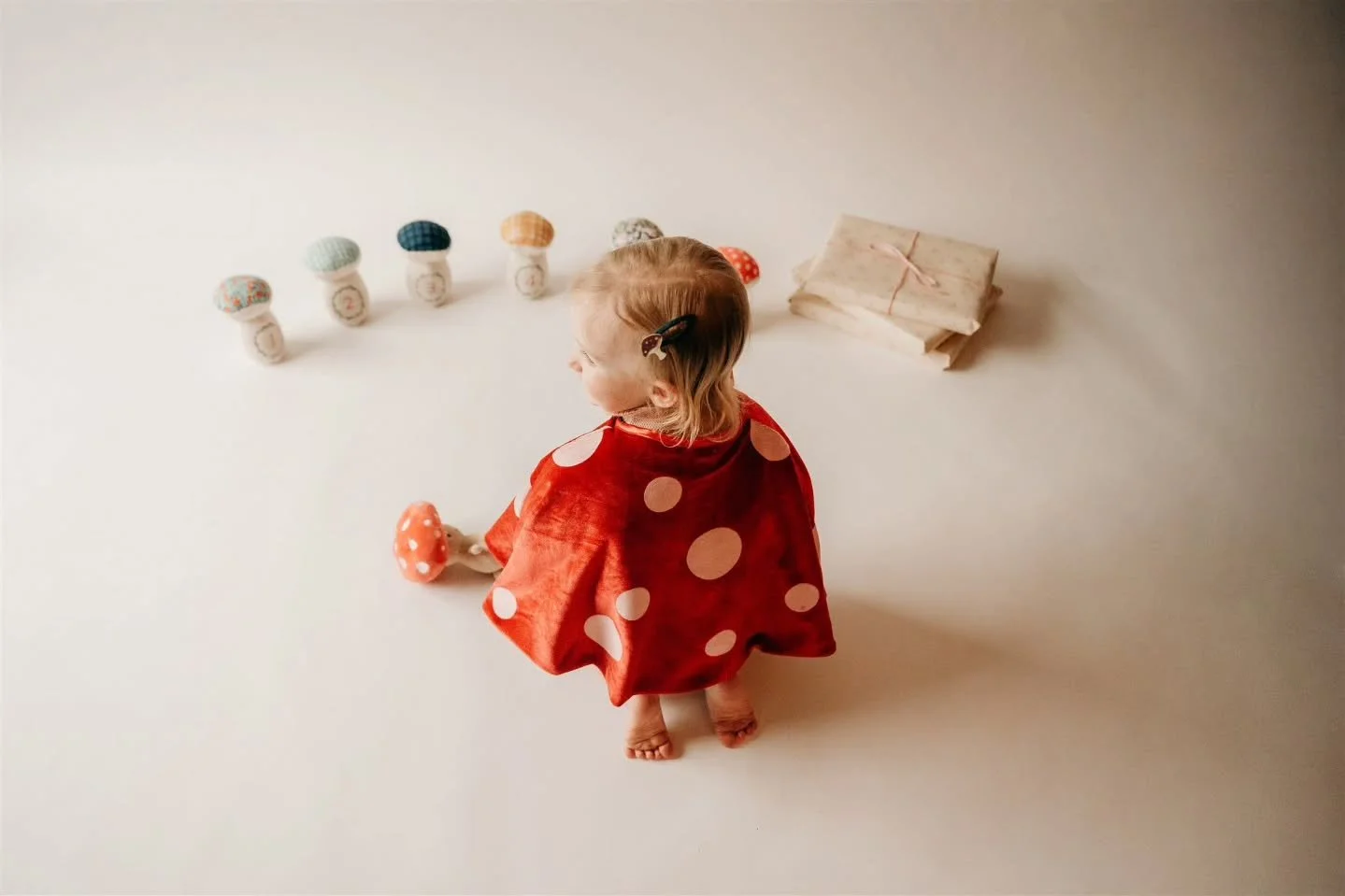 The cutest mushroom is turning 2 🥰

I don't have a studio buuuuut I can bring my backdrop along with me to your house! All I need is a hard floor next to a big window. 

We used the last bit of my backdrop for this cutie and it was soooo worth it. W